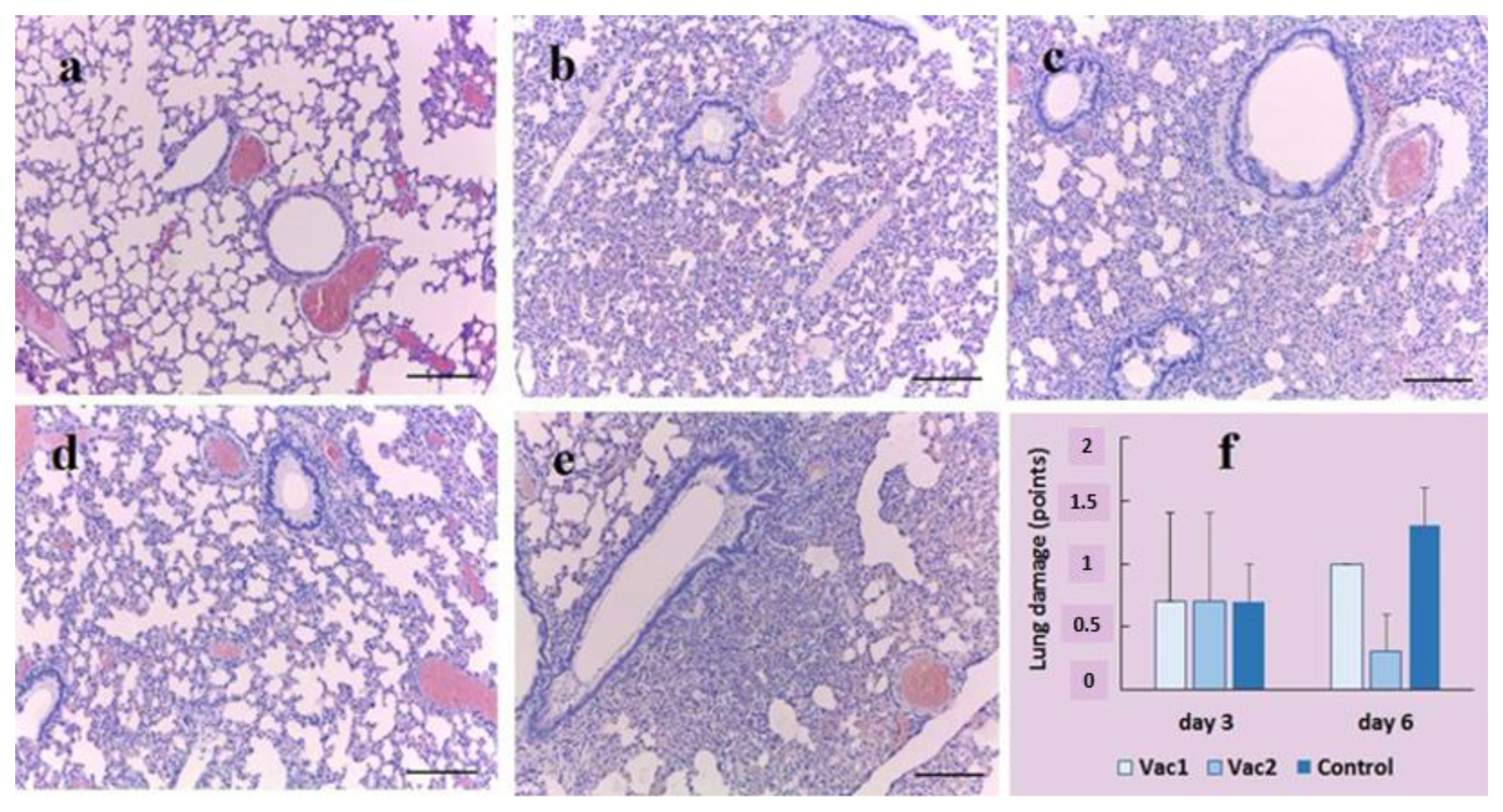 Vaccines 11 01714 g006 Vaccines 11 01714 g006