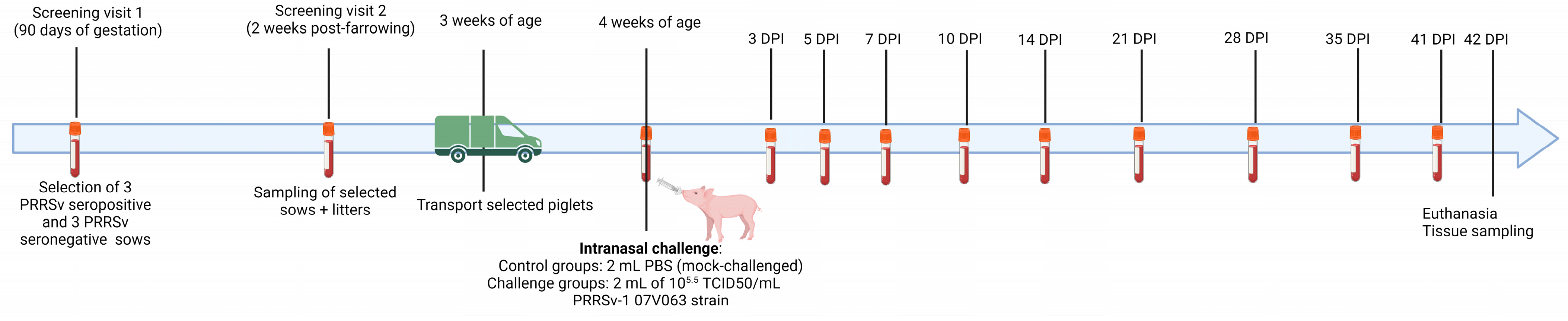 Vaccines 11 01745 g001