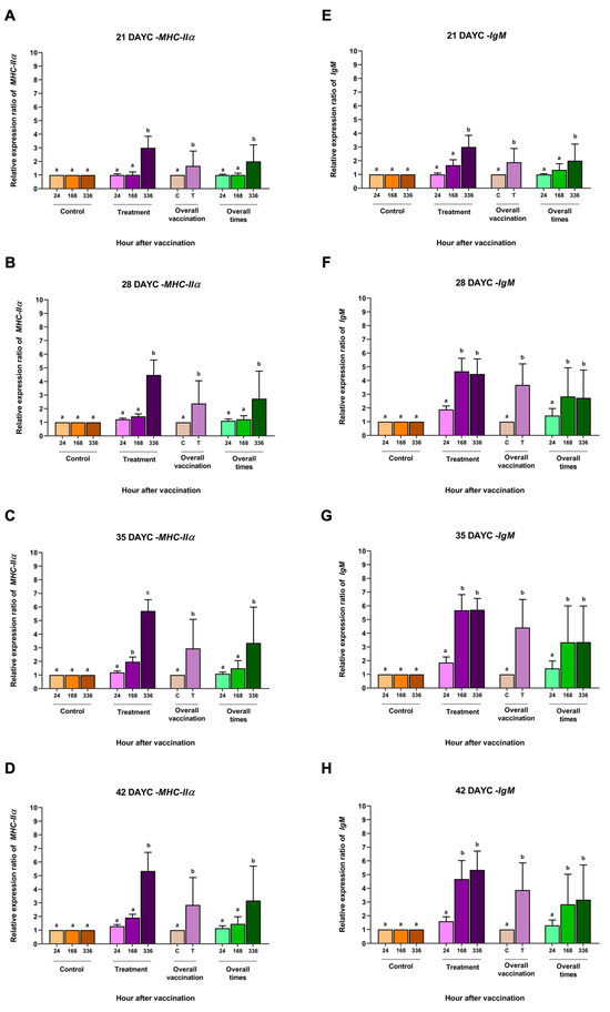 Vaccines 11 01753 g003