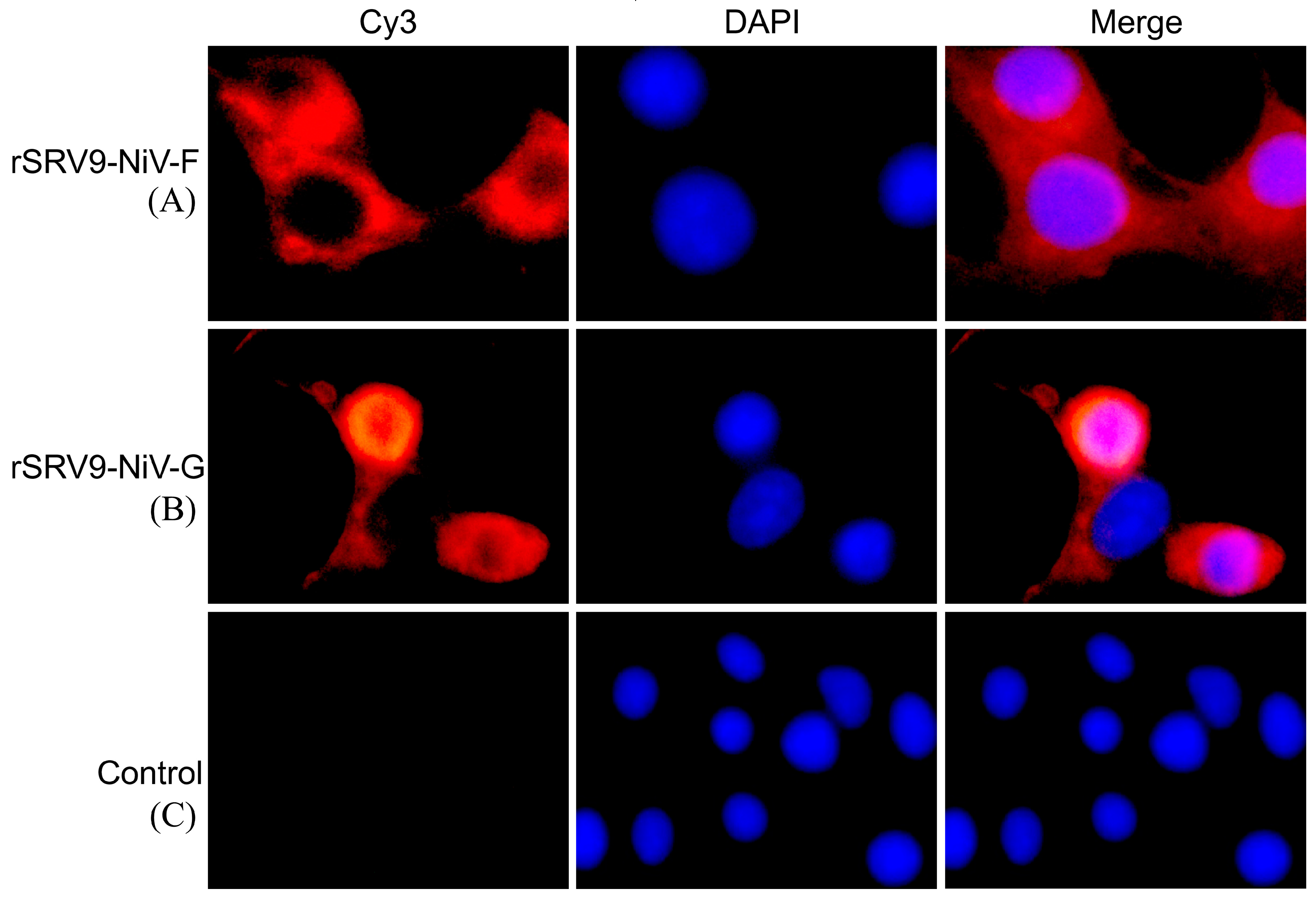 Vaccines 11 01758 g003