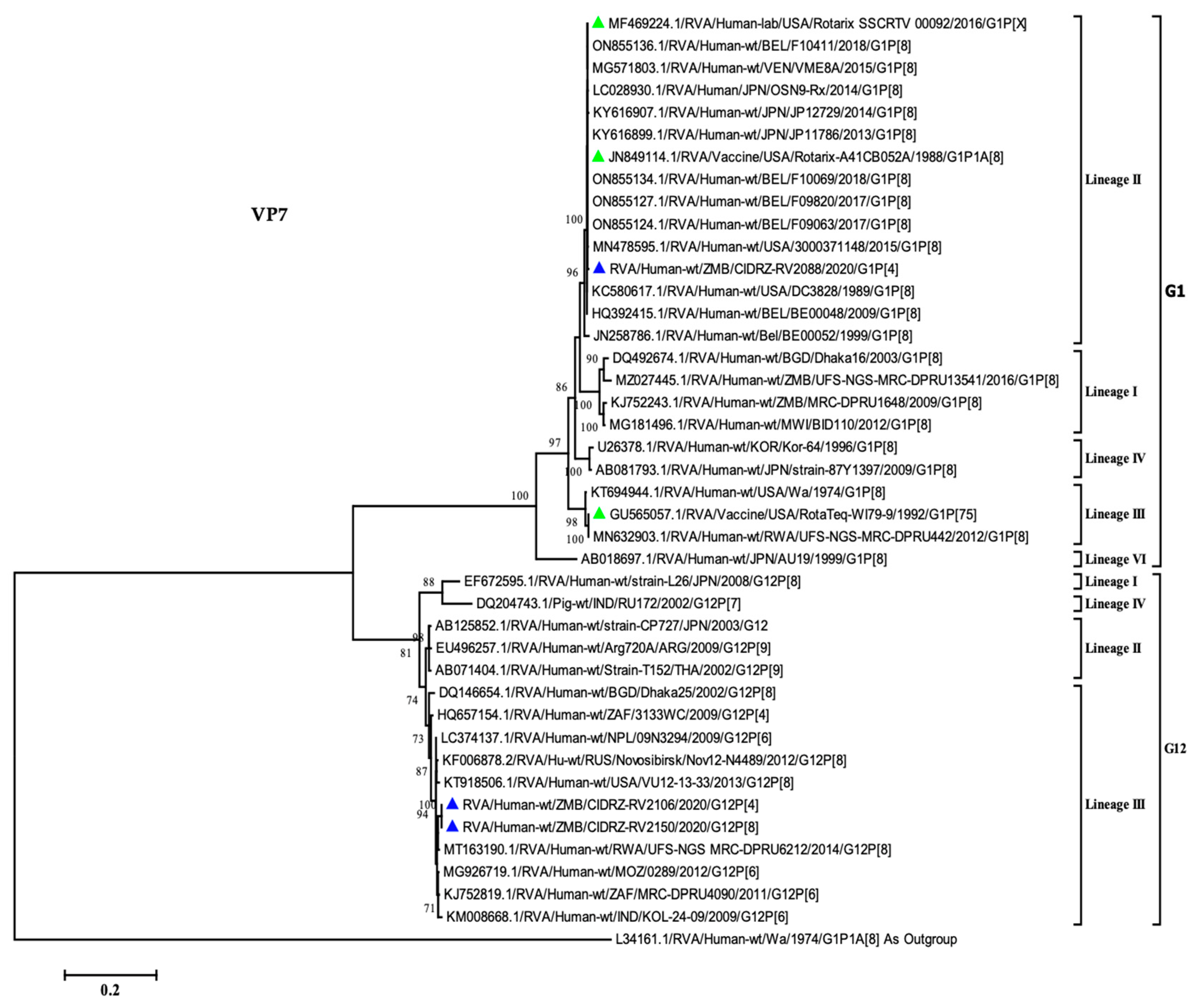 Vaccines 11 01759 g002