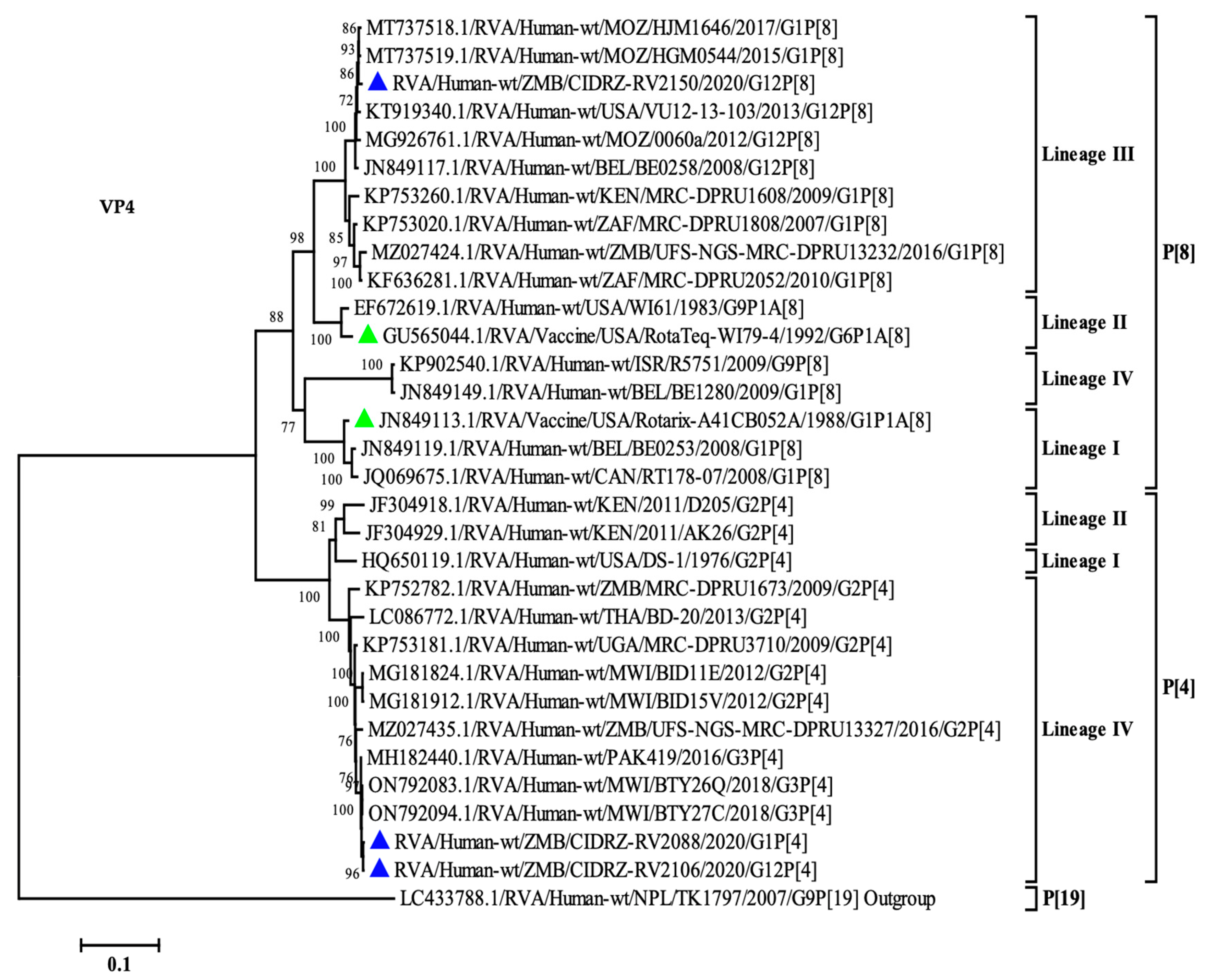 Vaccines 11 01759 g004
