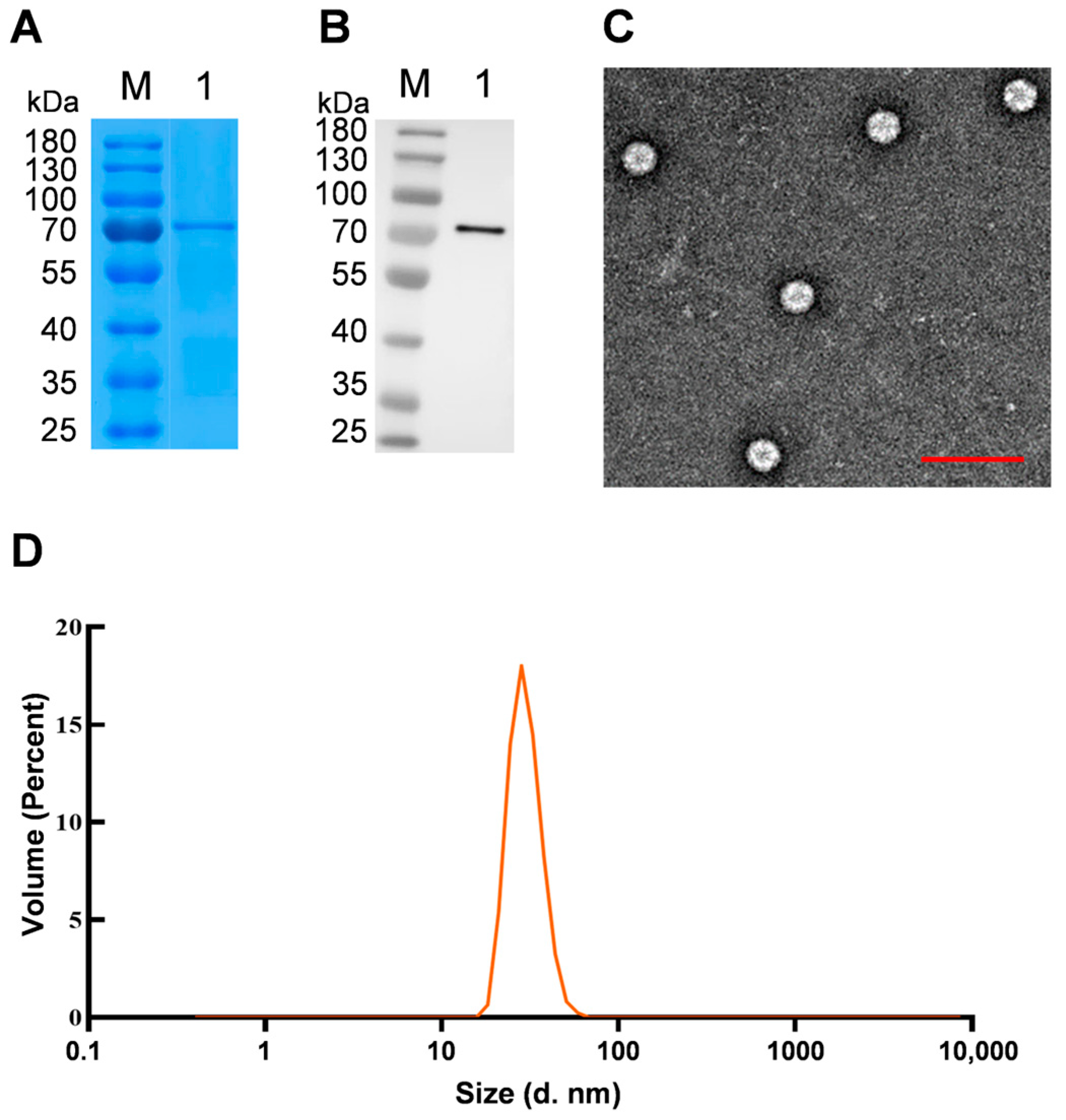 Vaccines 11 01768 g003