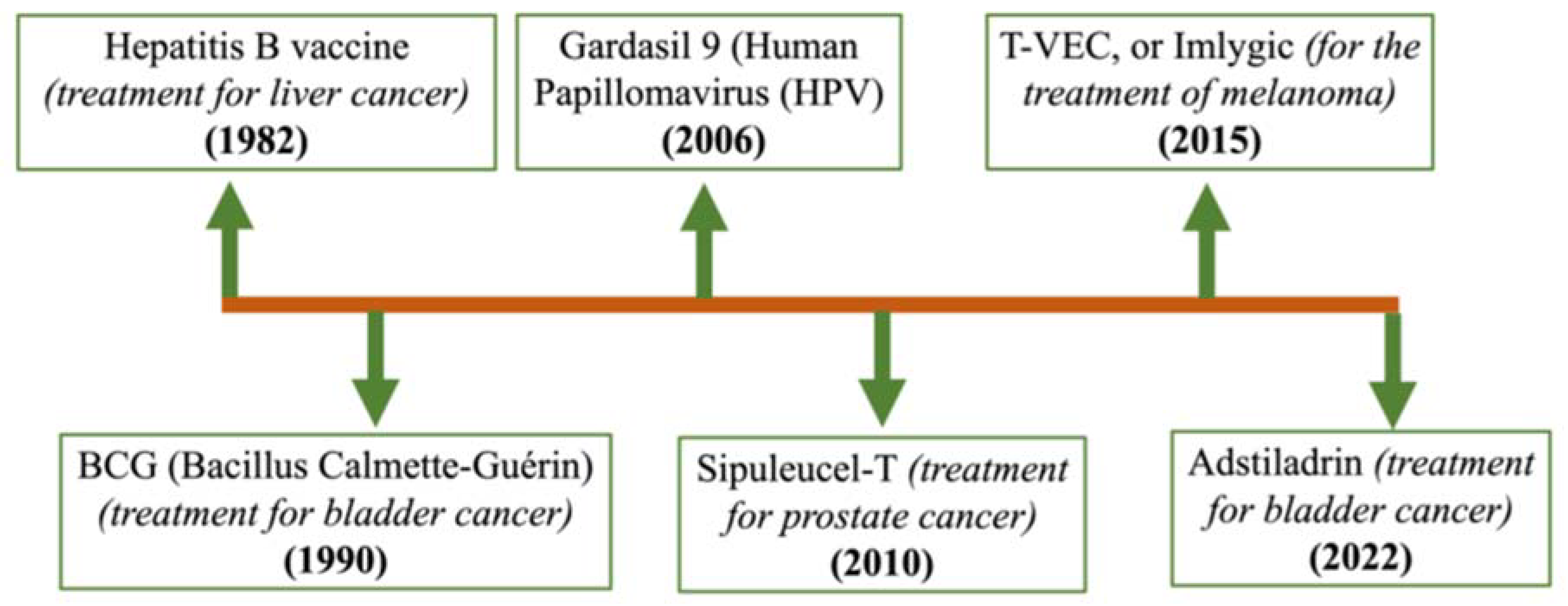 Cancer Vaccines in the Immunotherapy Era: Promise and Potential | MDPI