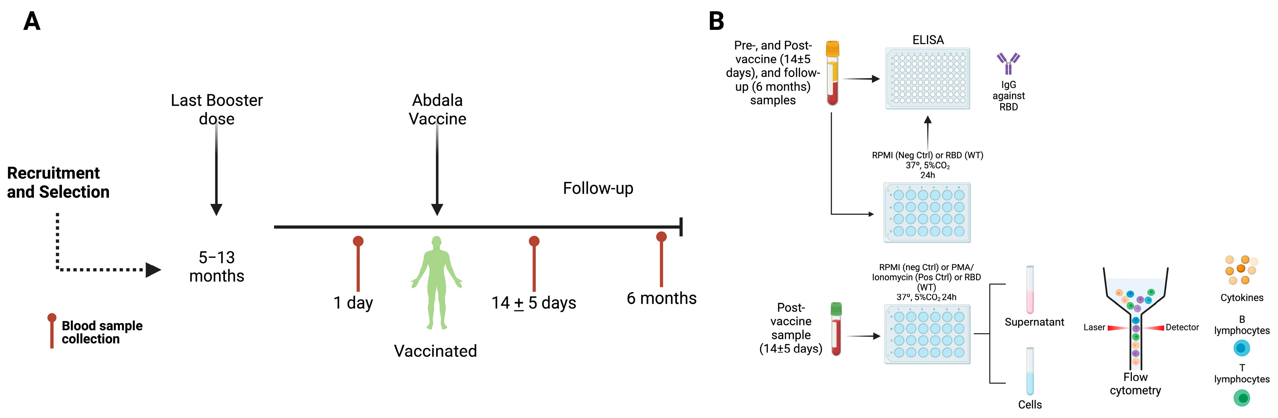 Vaccines 11 01787 g001