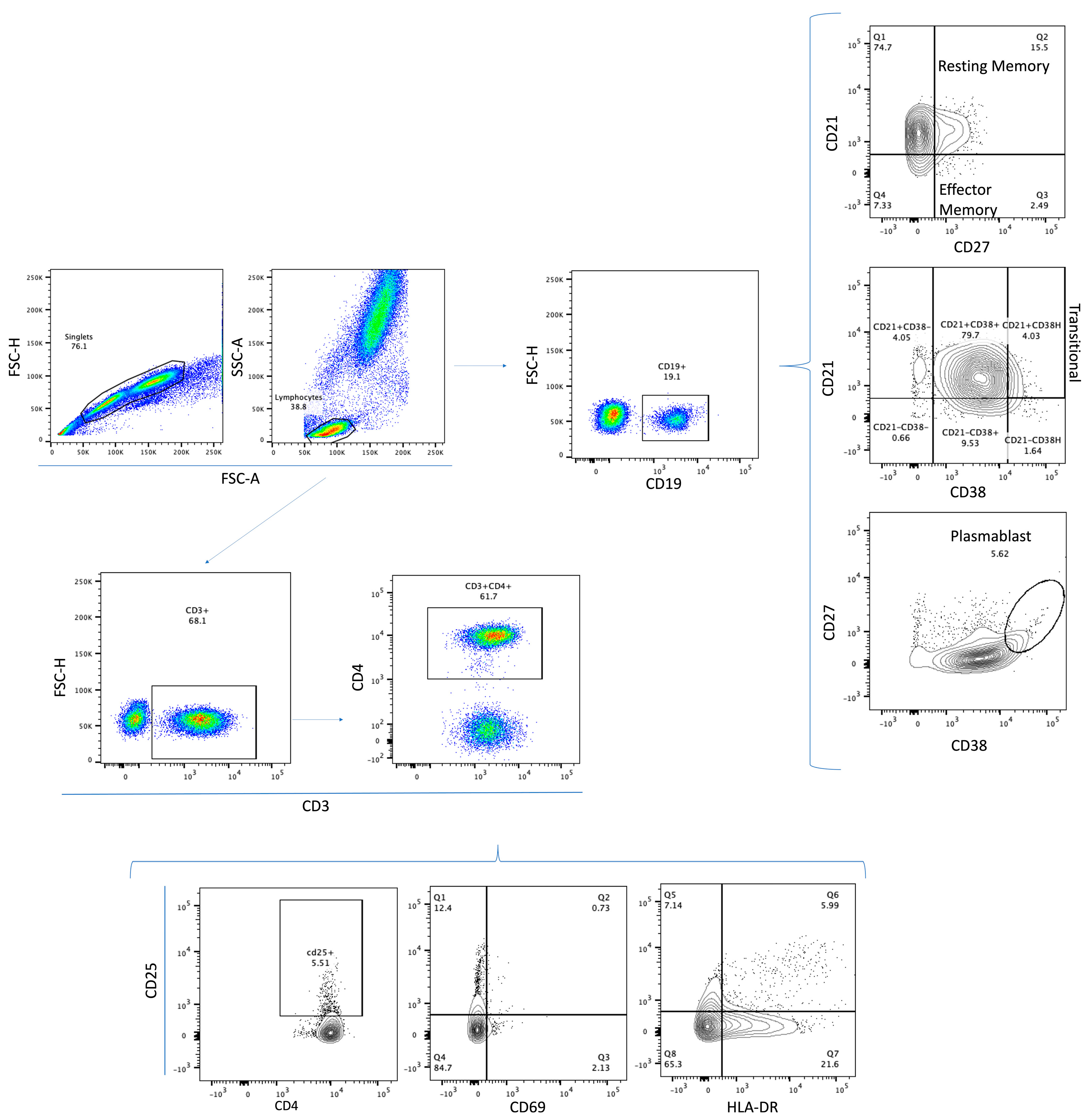 Vaccines 11 01787 g002