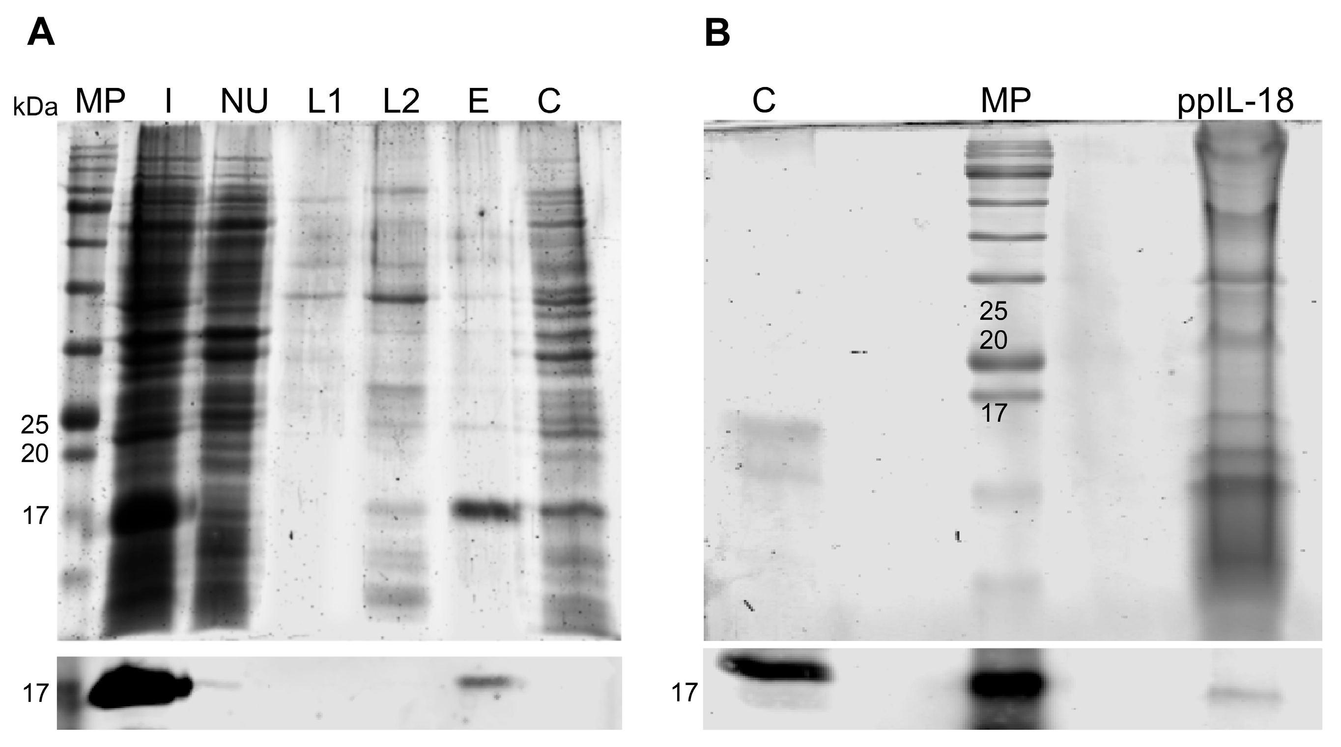 Vaccines 11 01788 g002