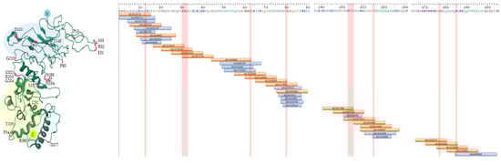 Vaccines 11 01810 g002
