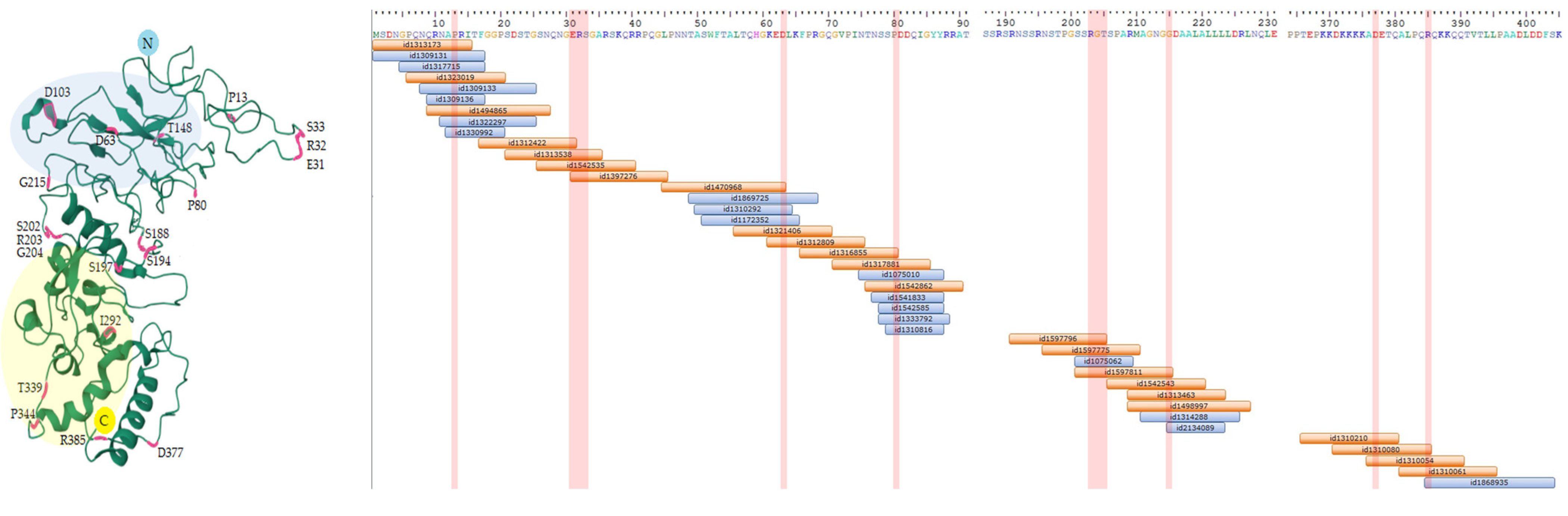 Vaccines 11 01810 g002
