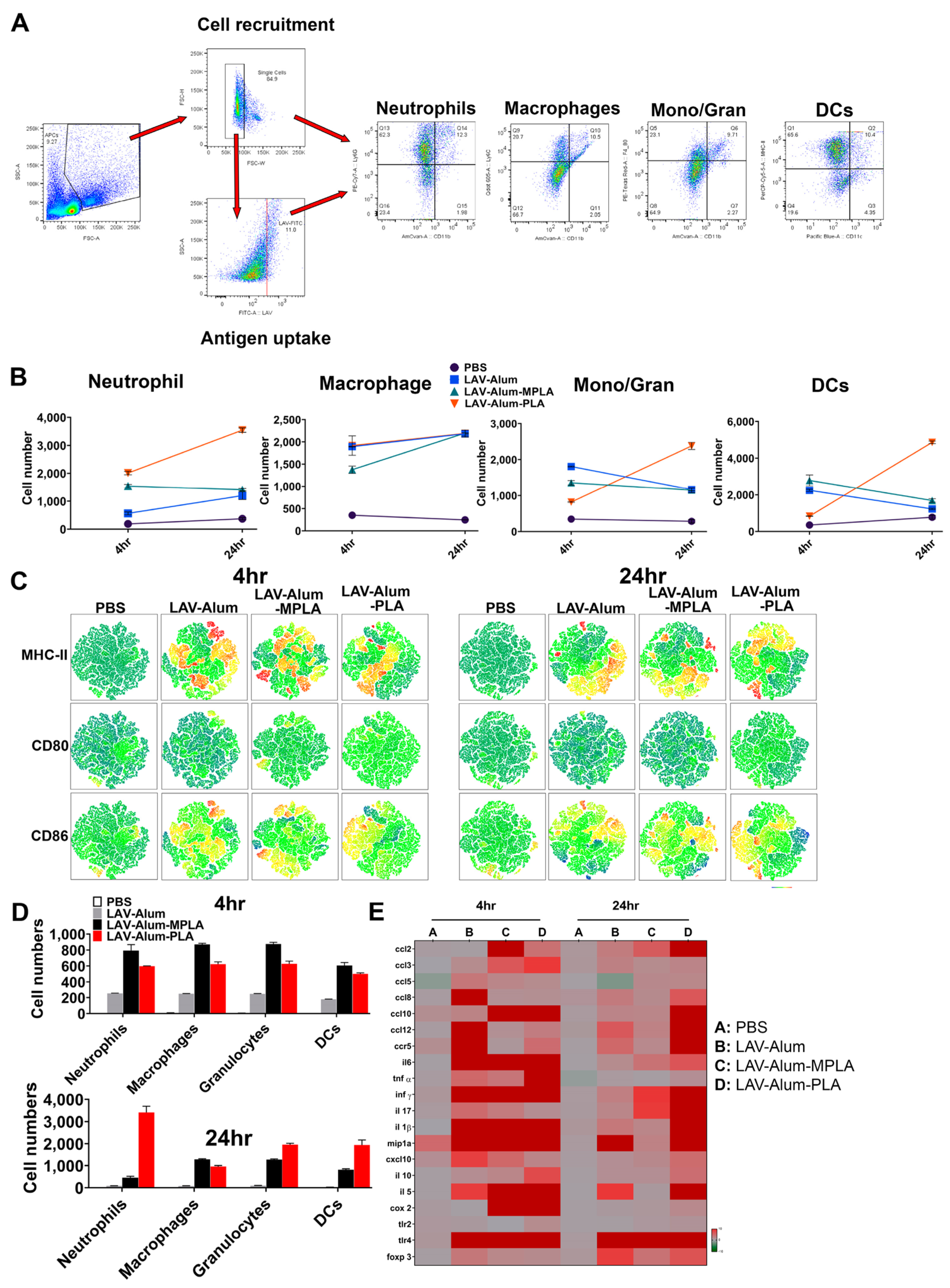 Vaccines 11 01824 g003