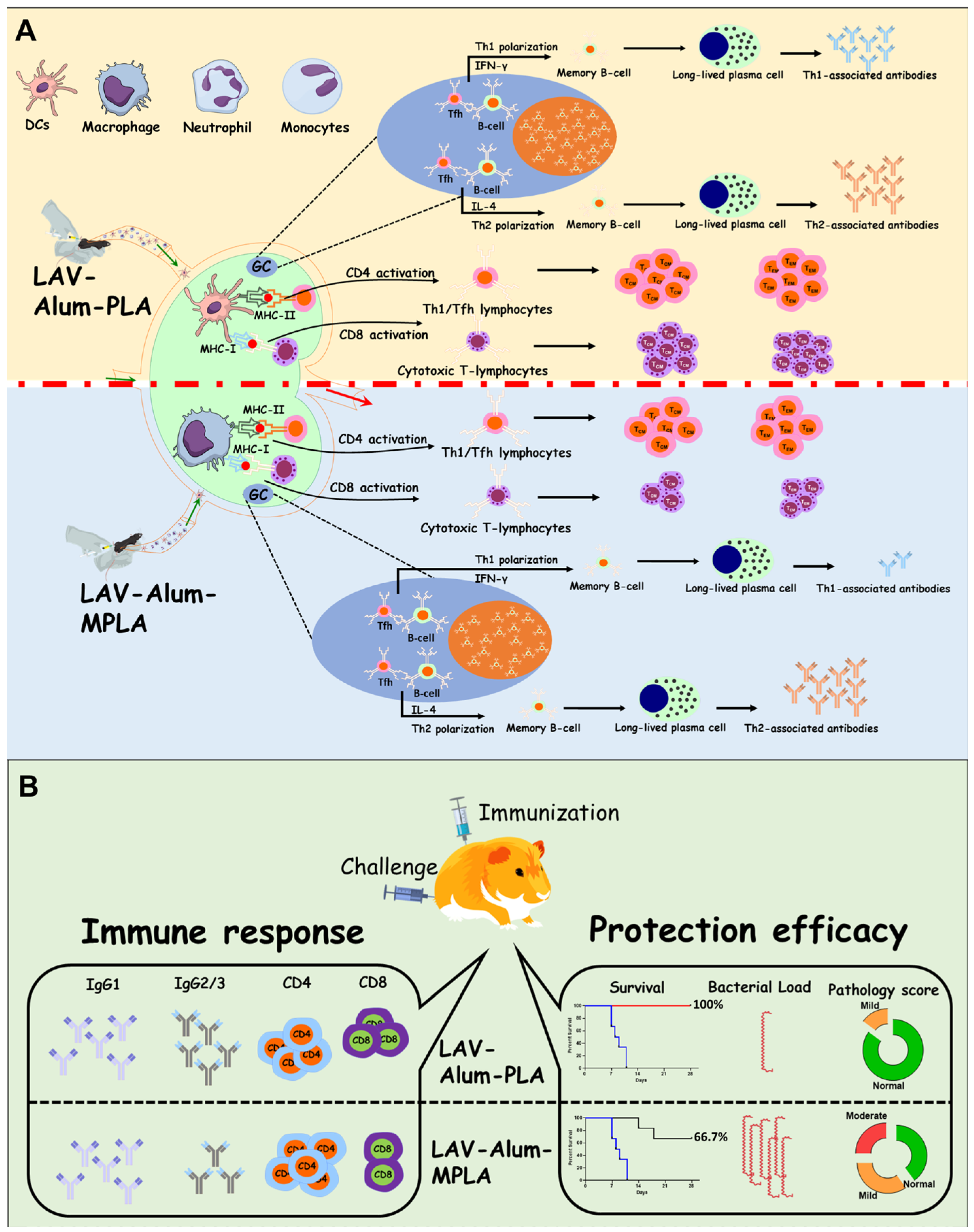 Vaccines 11 01824 g007