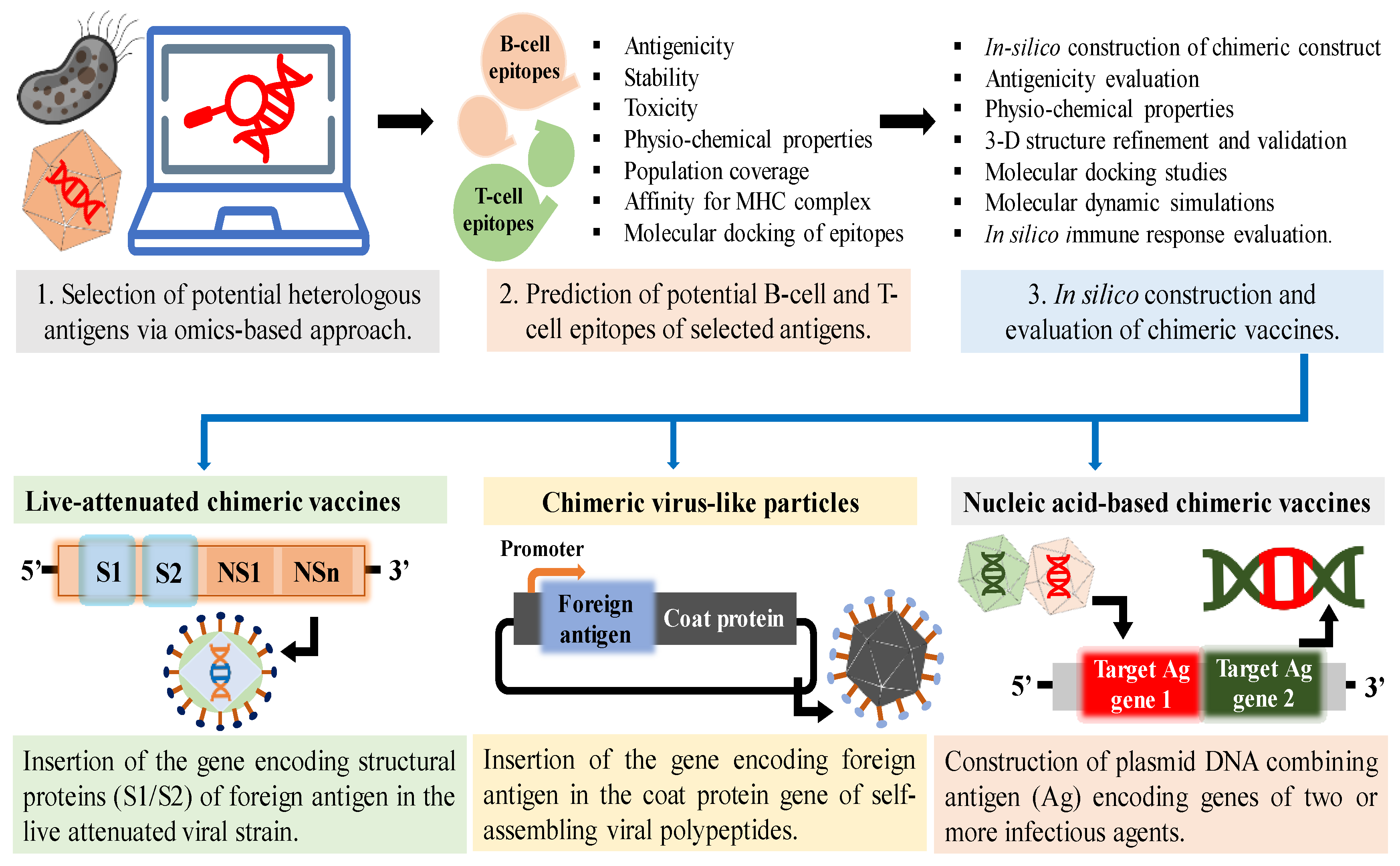 Vaccines 11 01828 g001 Vaccines 11 01828 g001