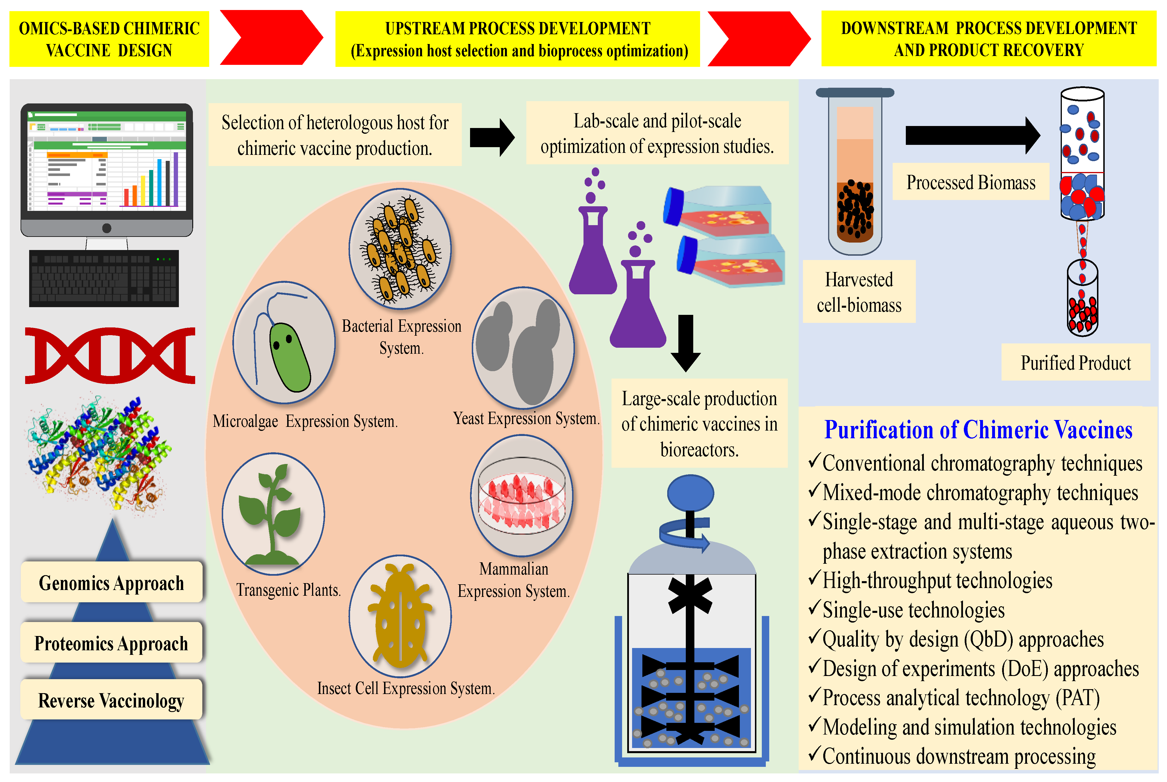 Vaccines 11 01828 g002 Vaccines 11 01828 g002