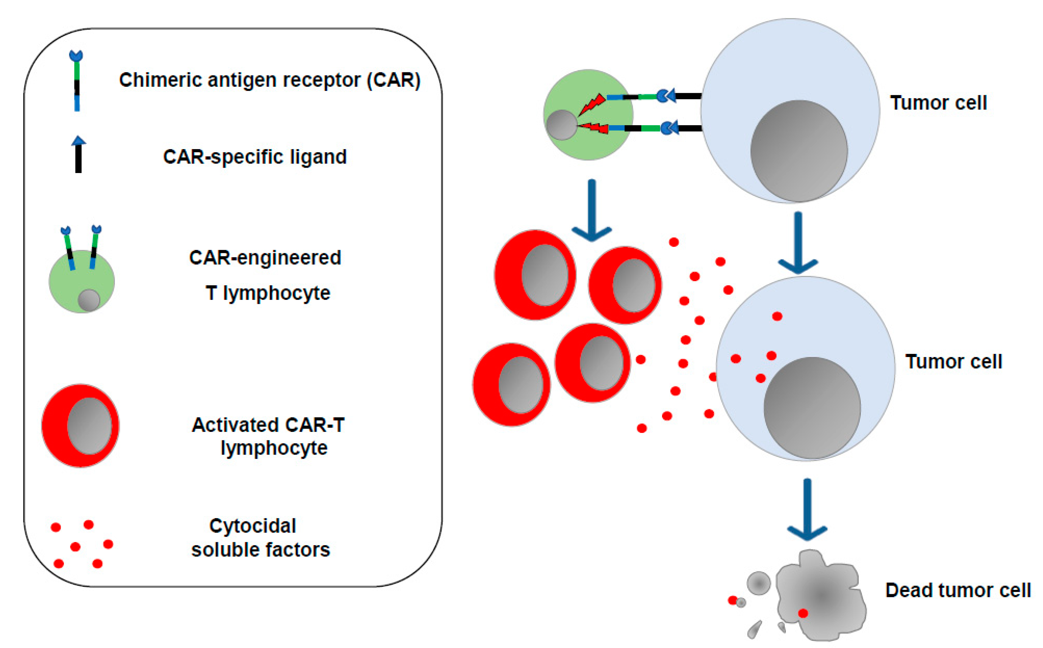 Vaccines 11 01847 g002
