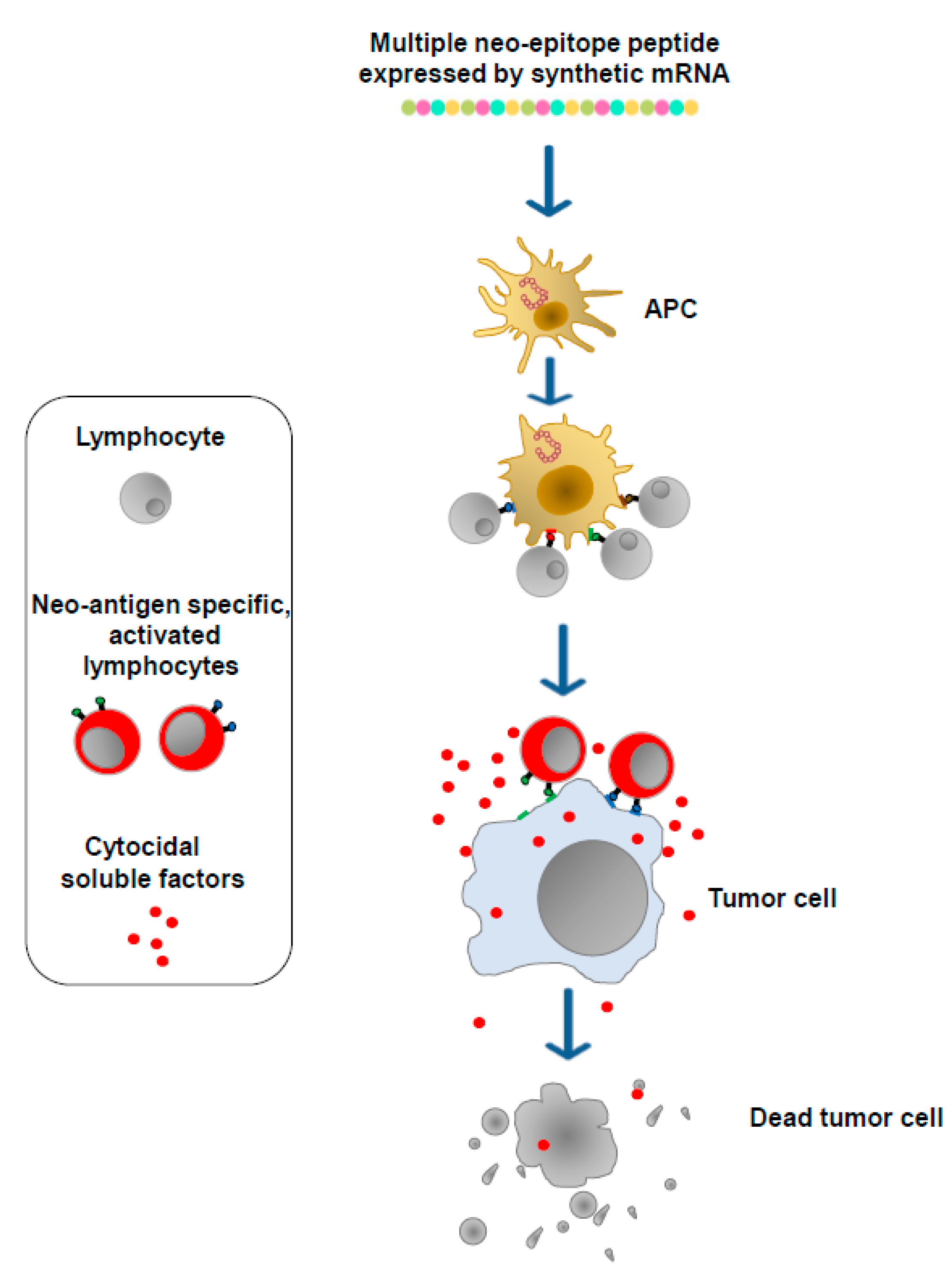 Vaccines 11 01847 g003