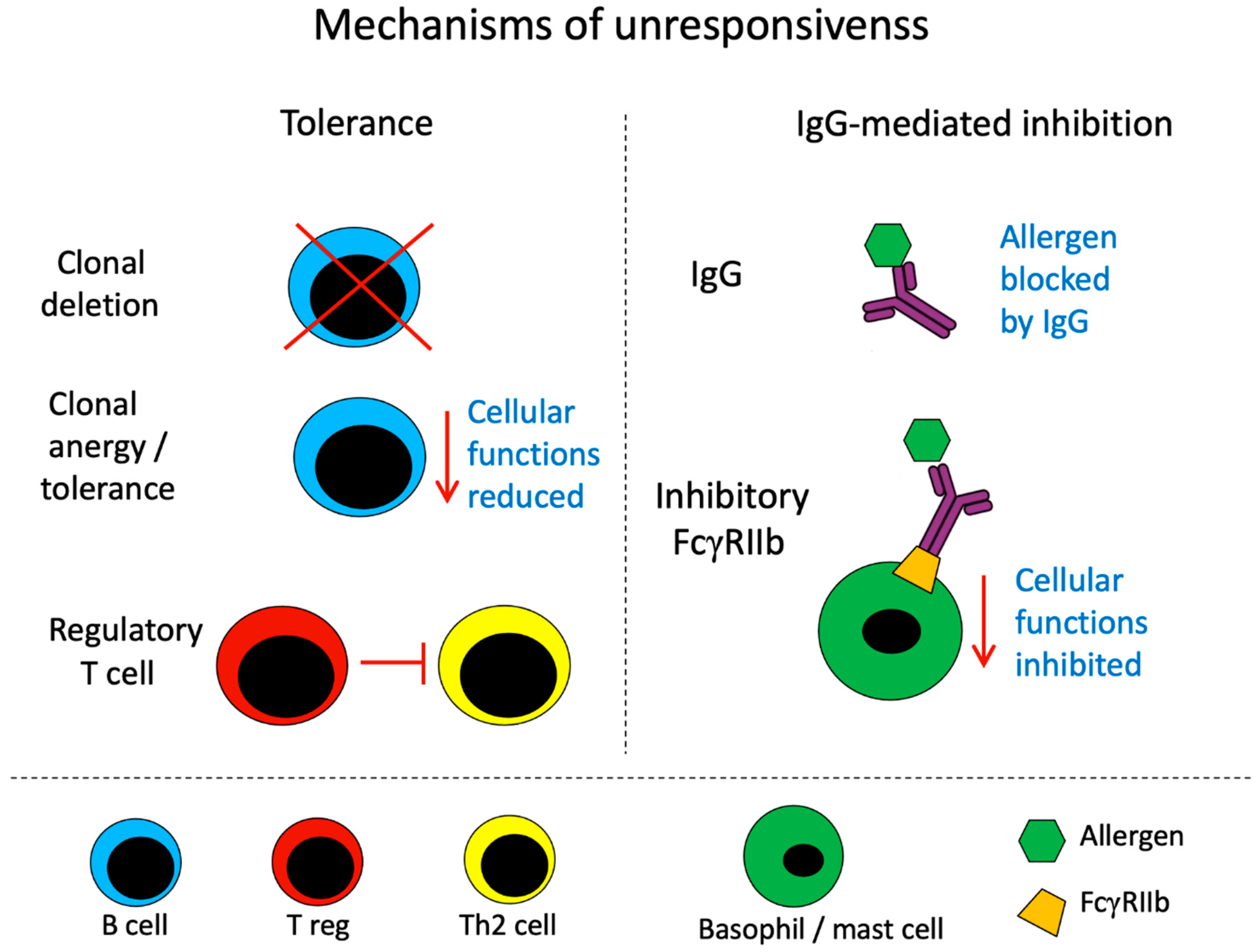 Vaccines 11 01852 g001