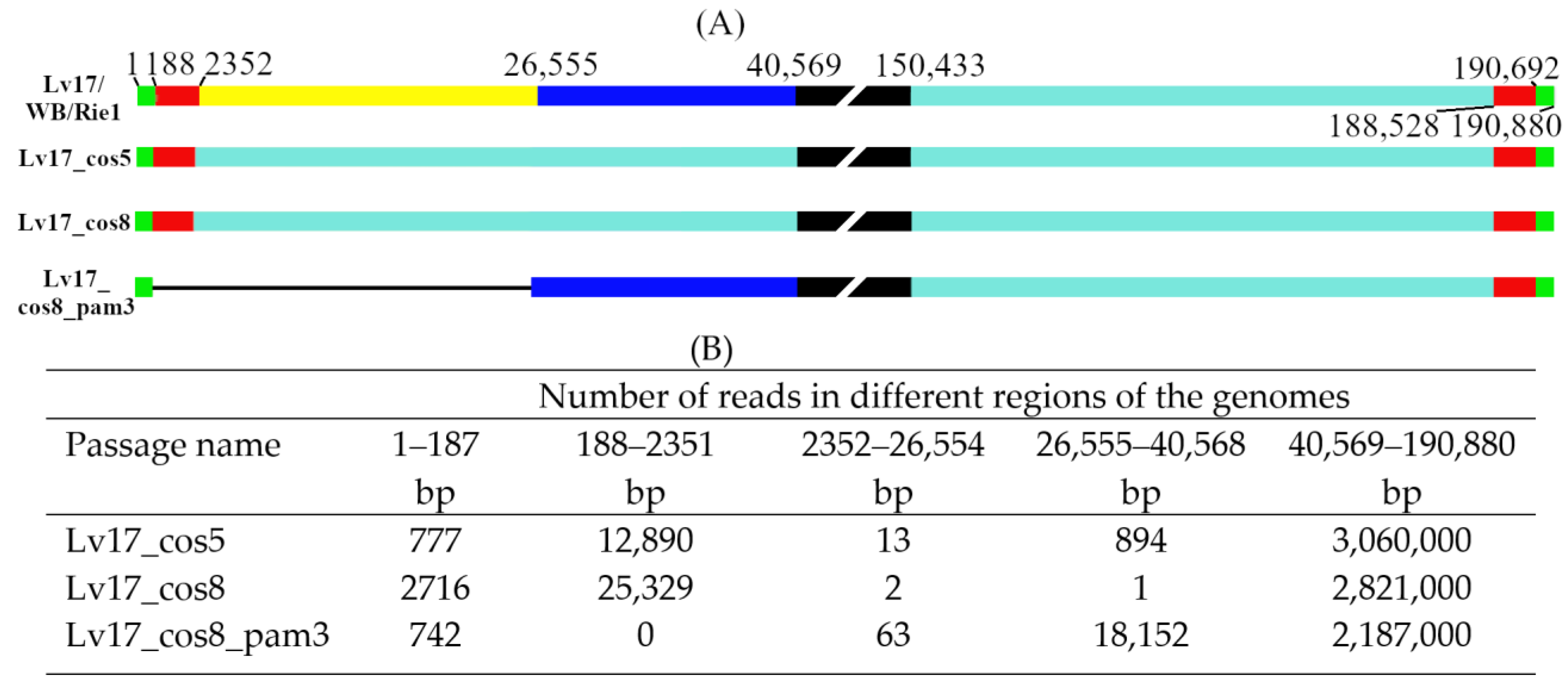 Vaccines 11 01860 g001