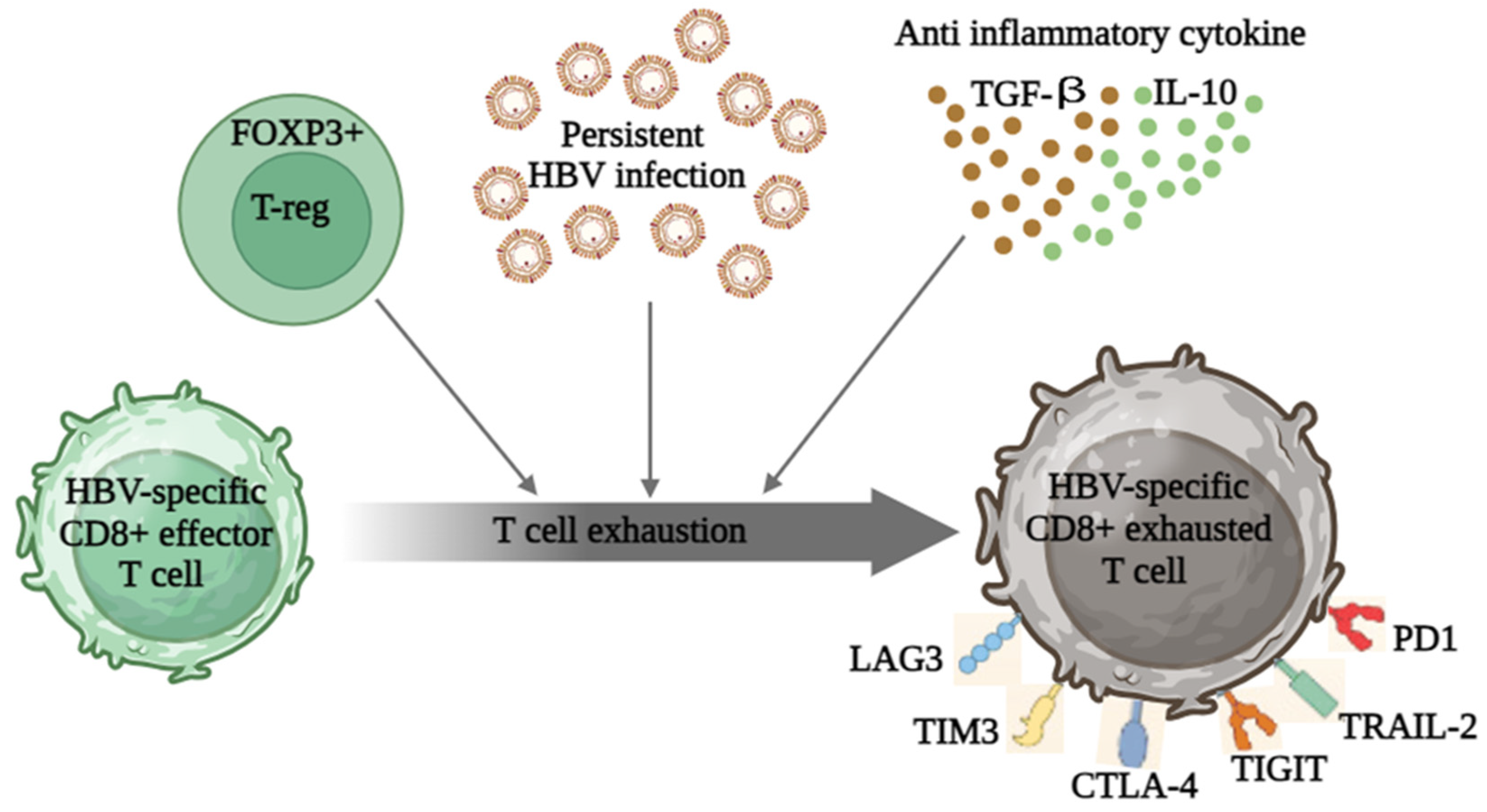 Vaccines 11 01862 g003