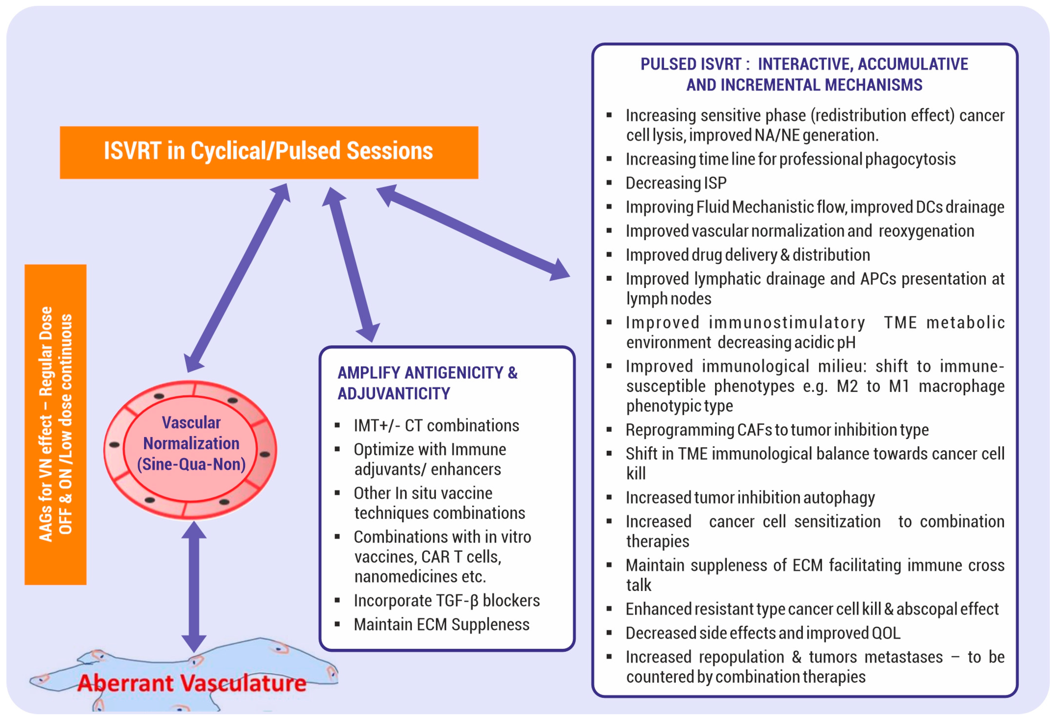 Vaccines 12 00007 g001
