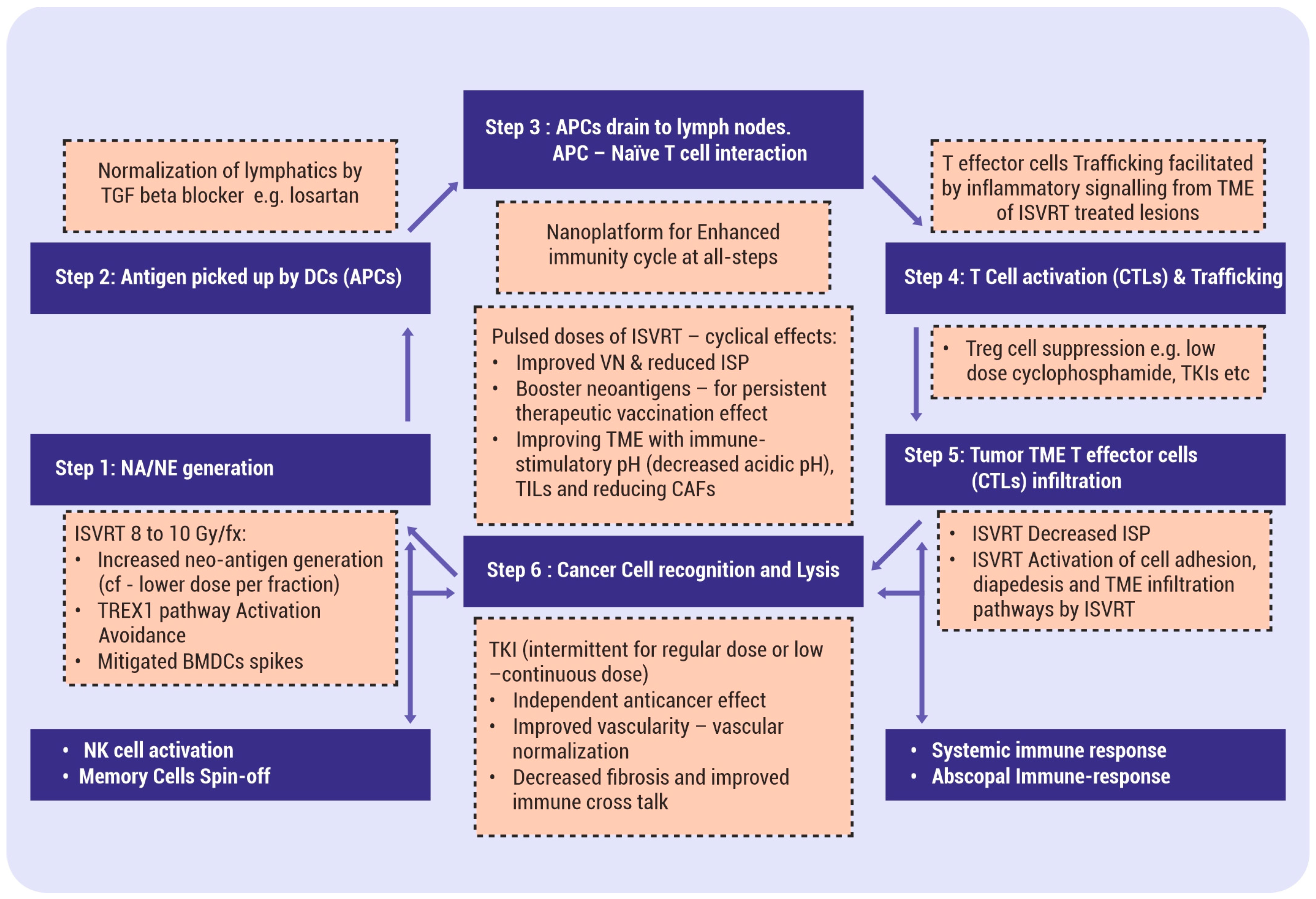 Vaccines 12 00007 g002