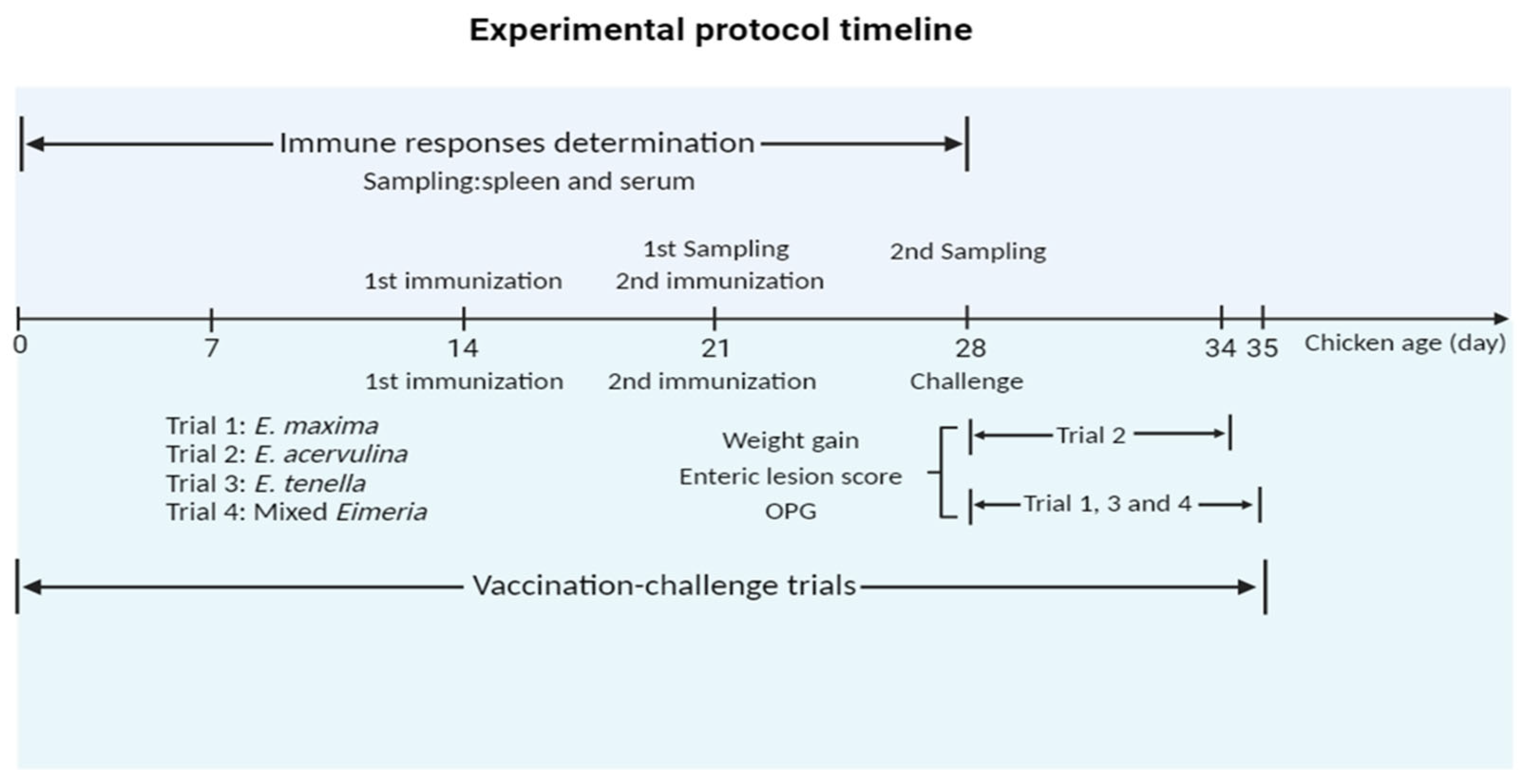 Vaccines 12 00018 g001