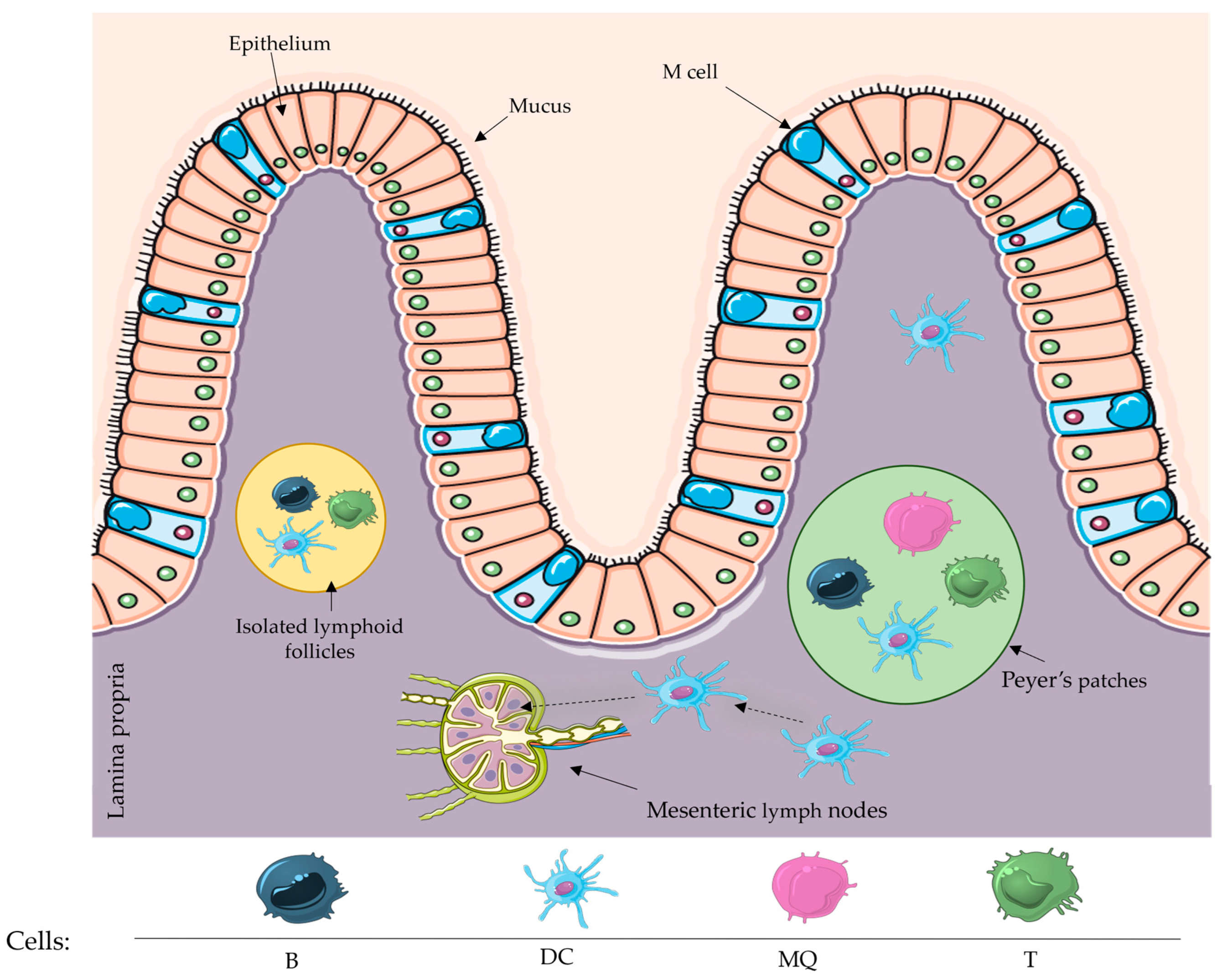 Vaccines 12 00026 g001