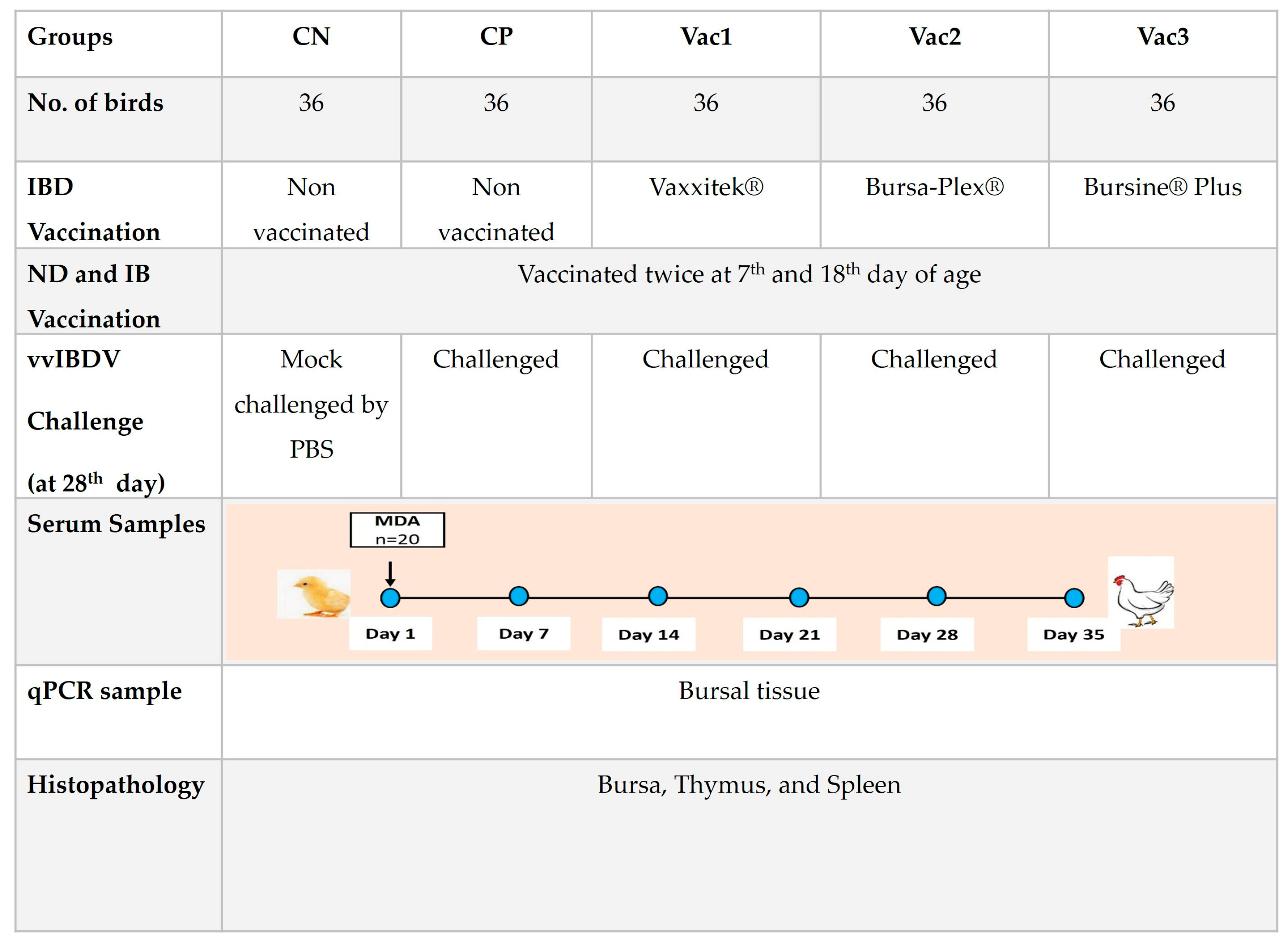 Vaccines 12 00027 g001