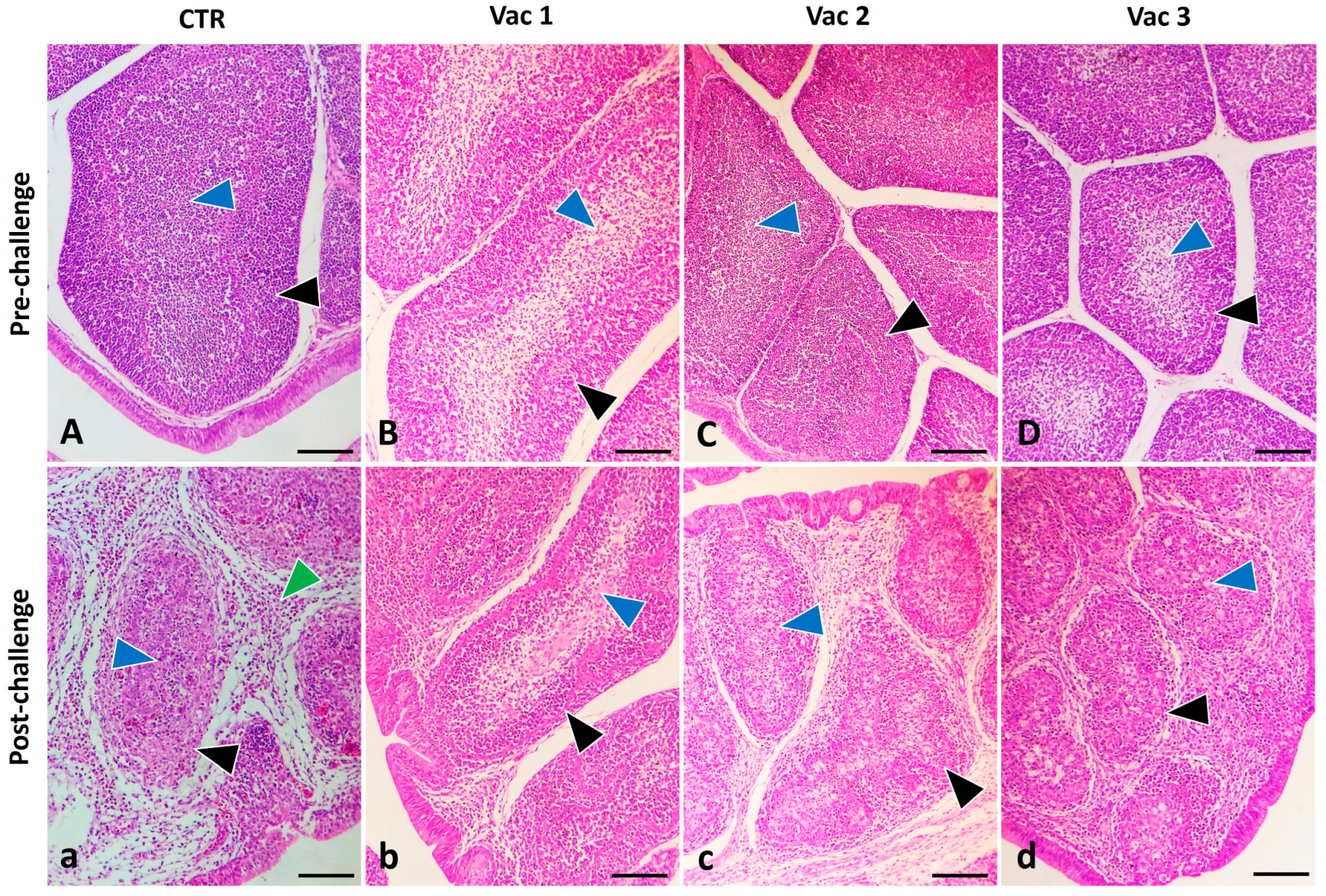Vaccines 12 00027 g005