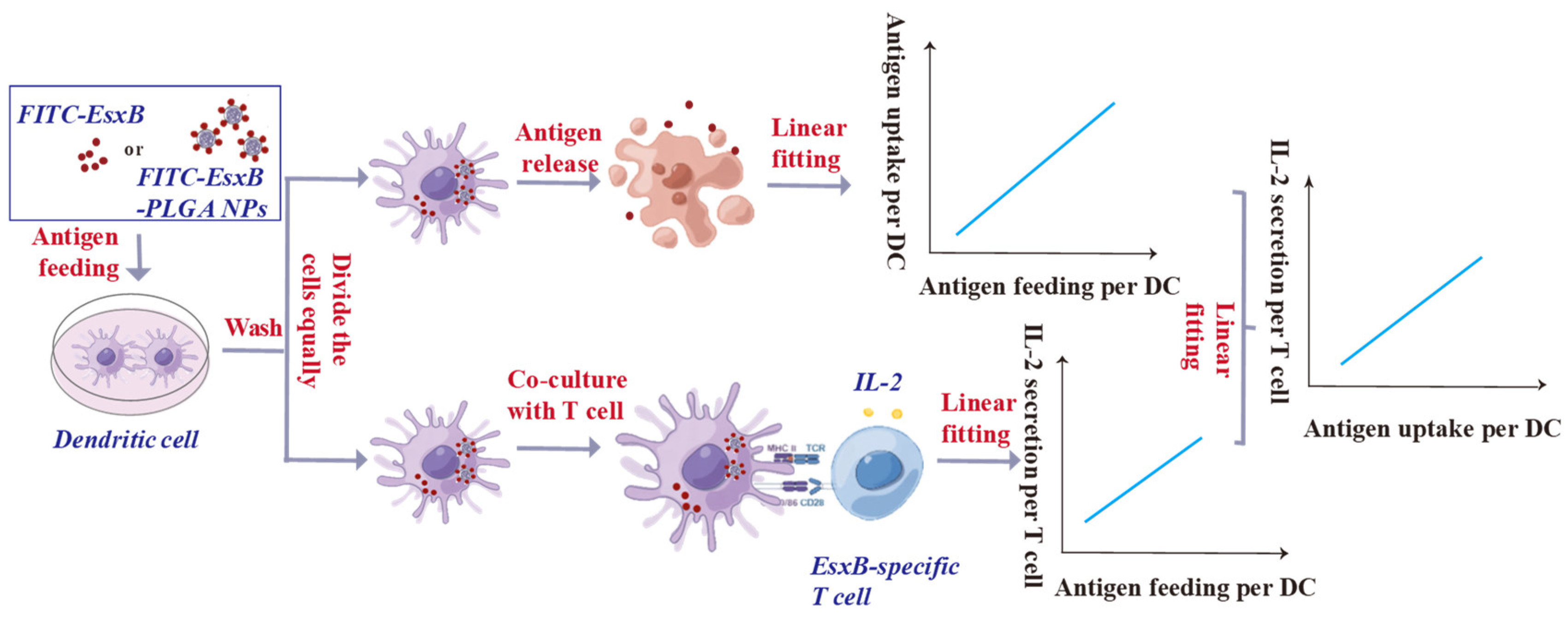 Vaccines 12 00028 g004