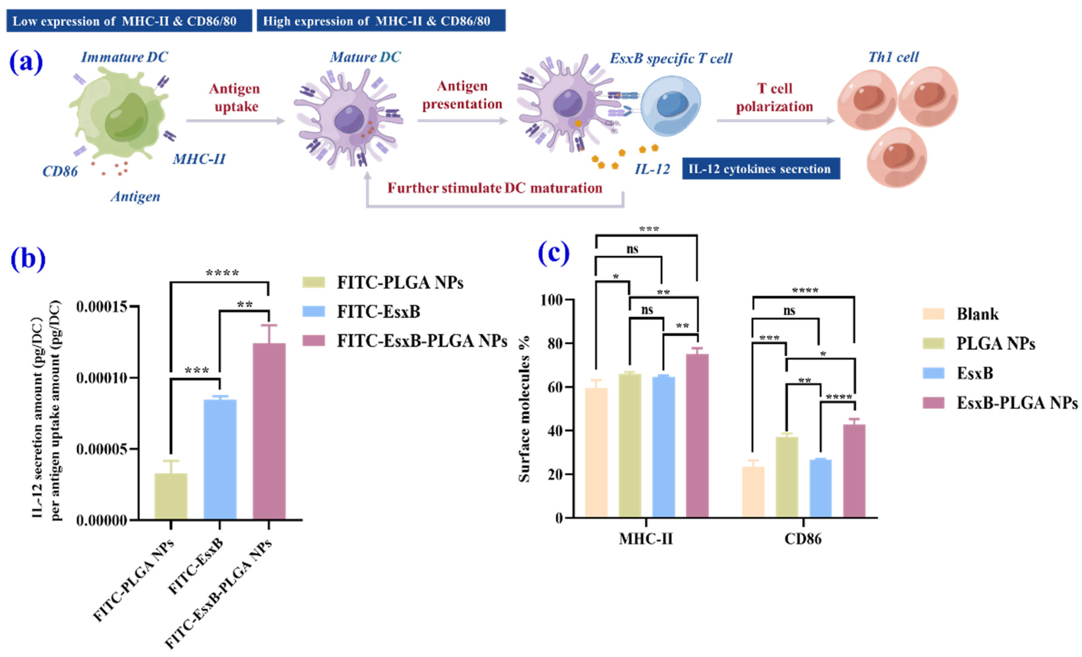 Vaccines 12 00028 g006