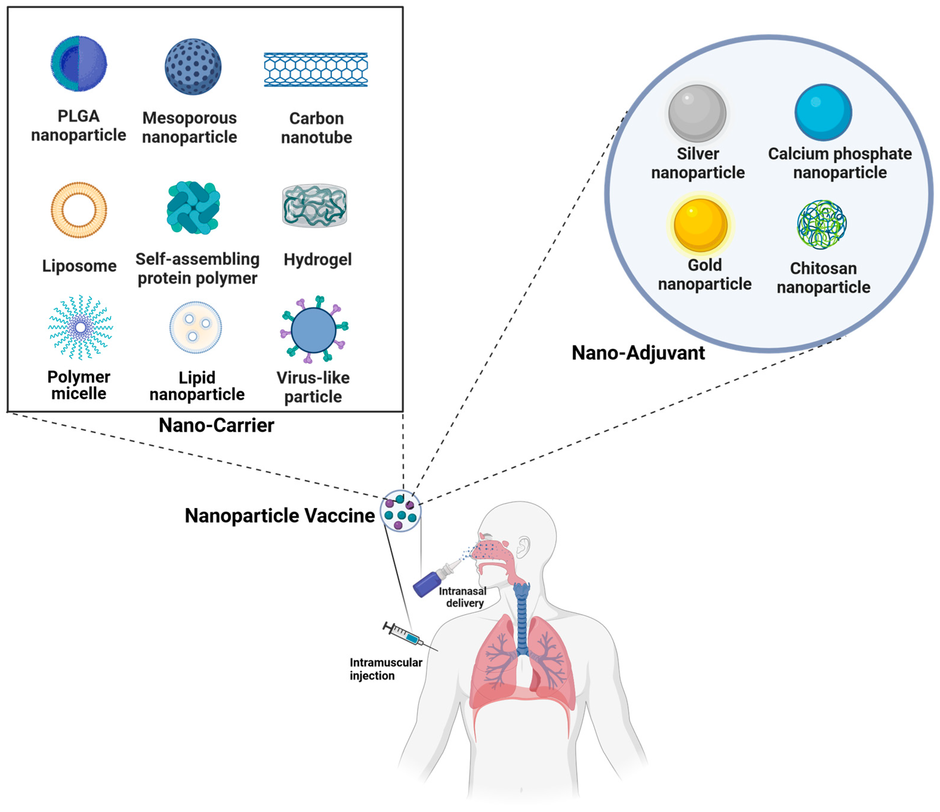 Vaccines 12 00030 g003
