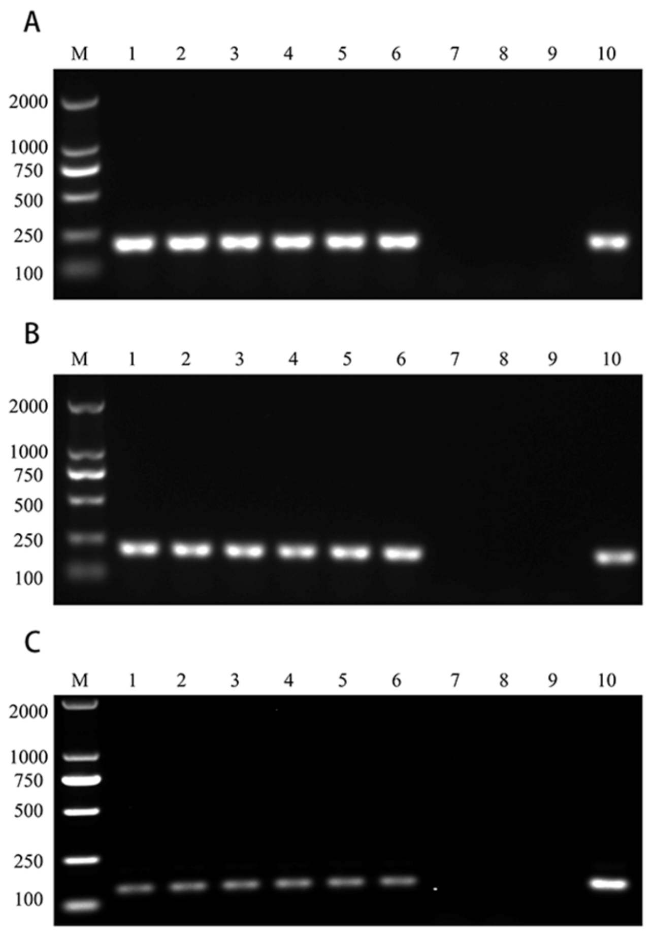 Vaccines 12 00035 g003