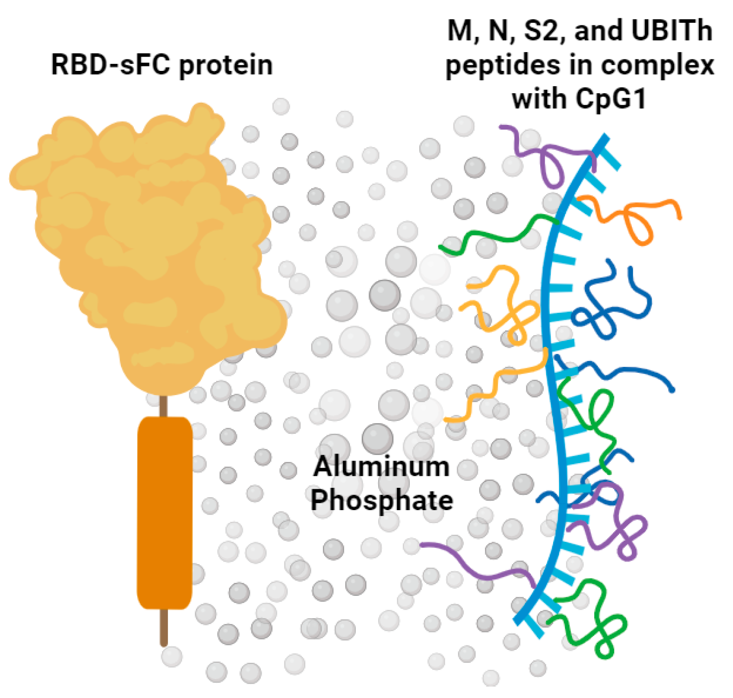 Vaccines 12 00040 g001