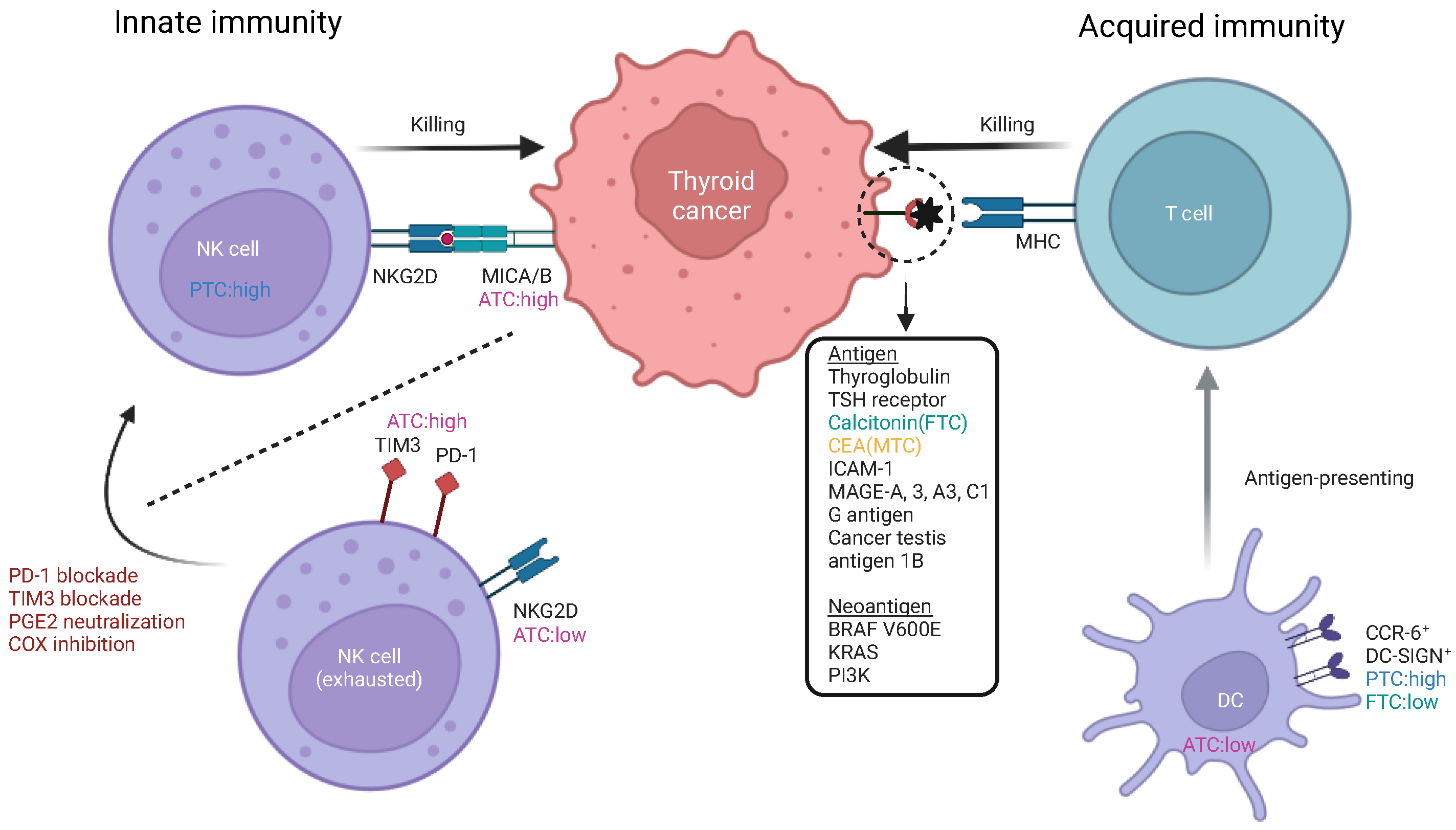 Vaccines 12 00045 g001