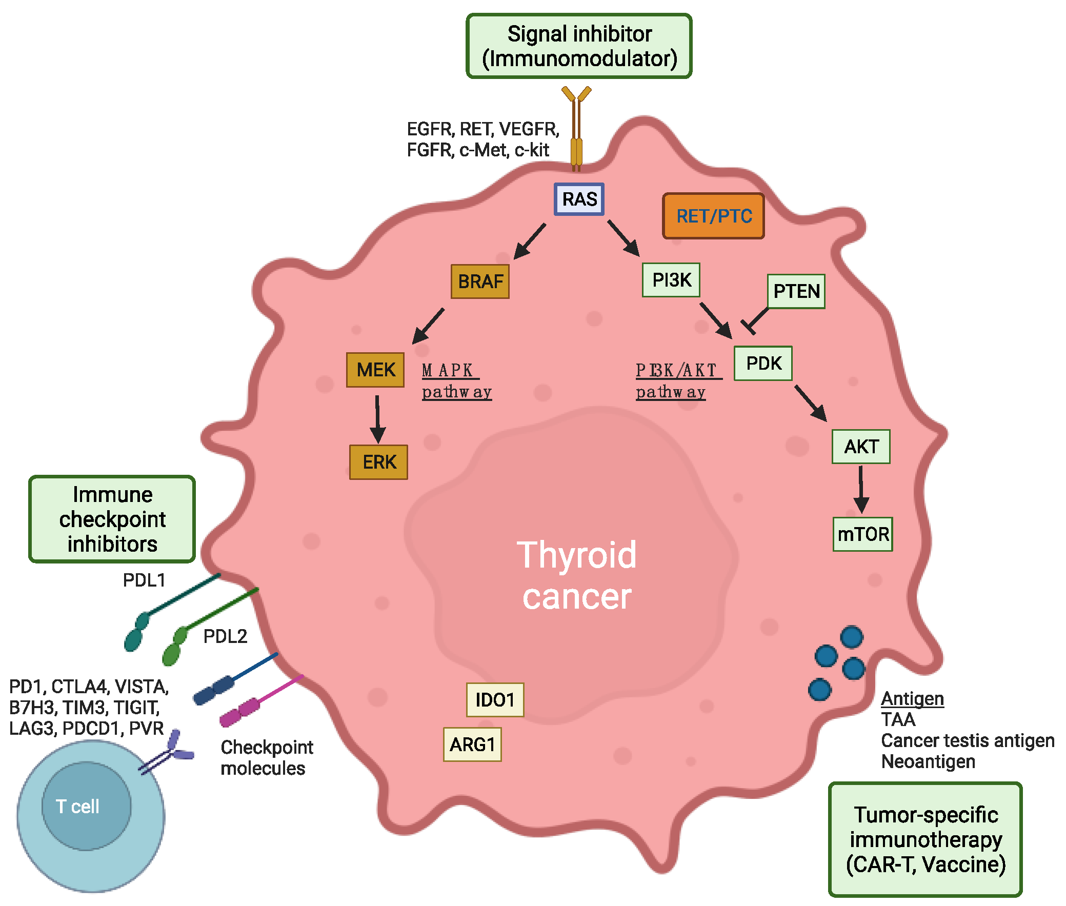 Vaccines 12 00045 g003