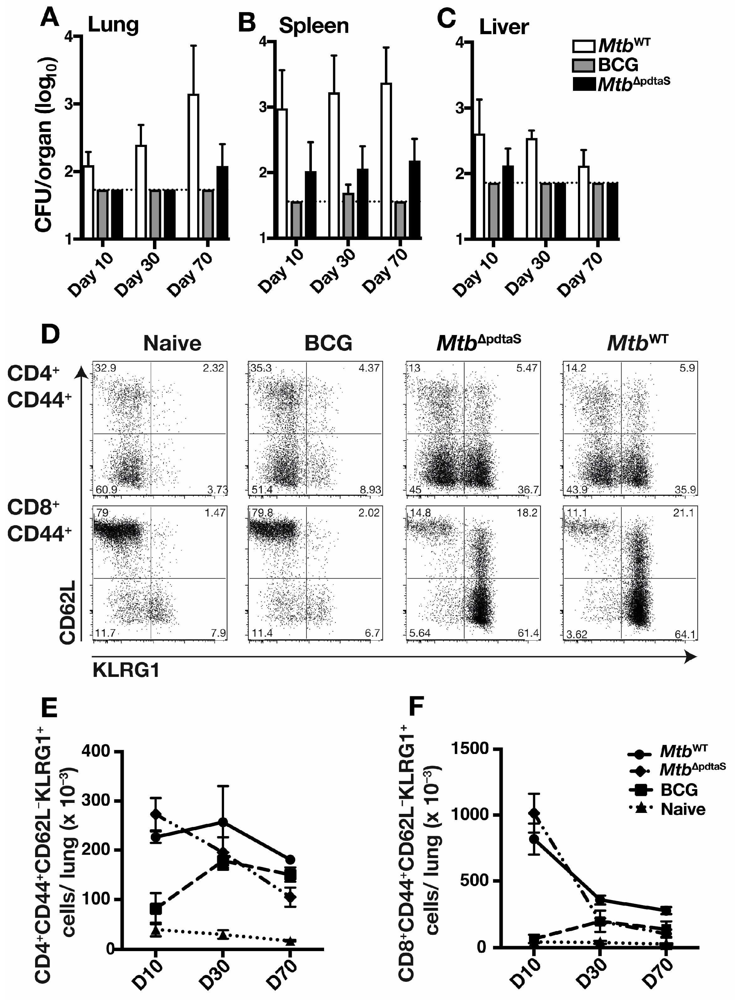 Vaccines 12 00050 g002