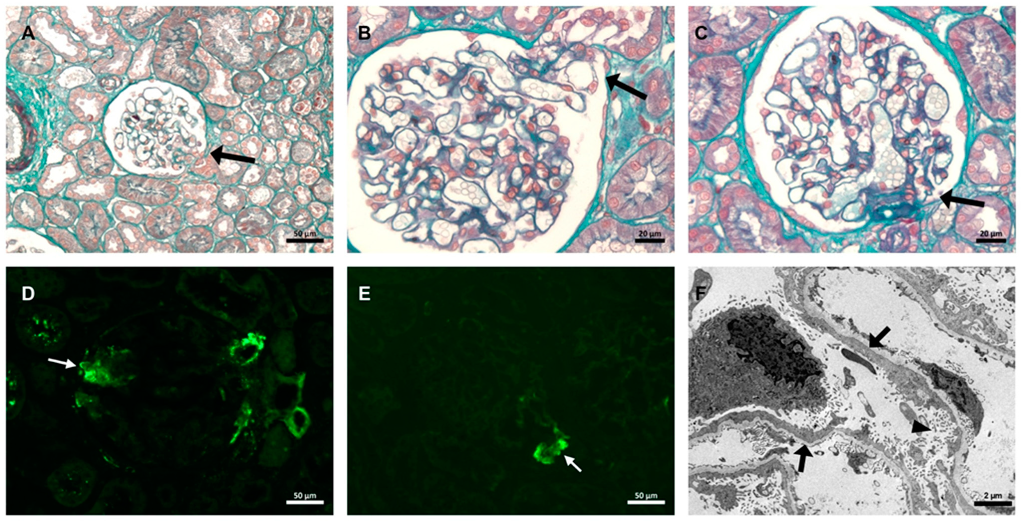 Vaccines 12 00062 g001 Vaccines 12 00062 g001