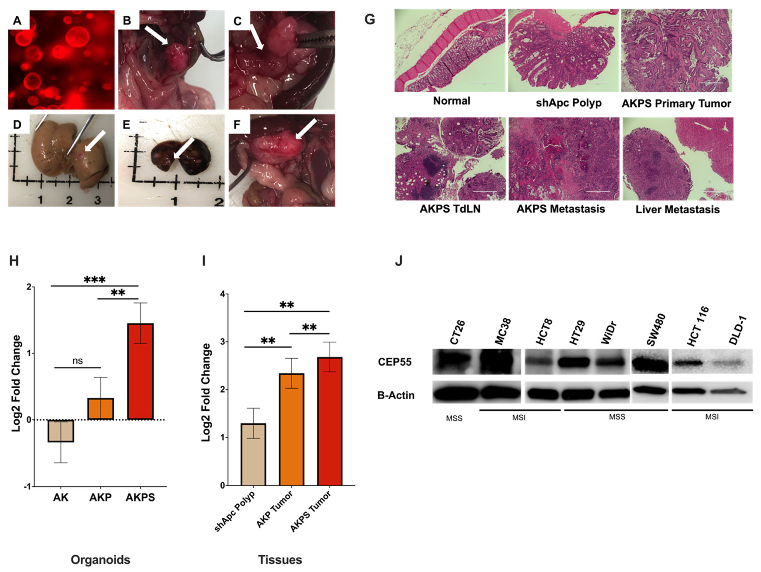 Vaccines 12 00063 g002