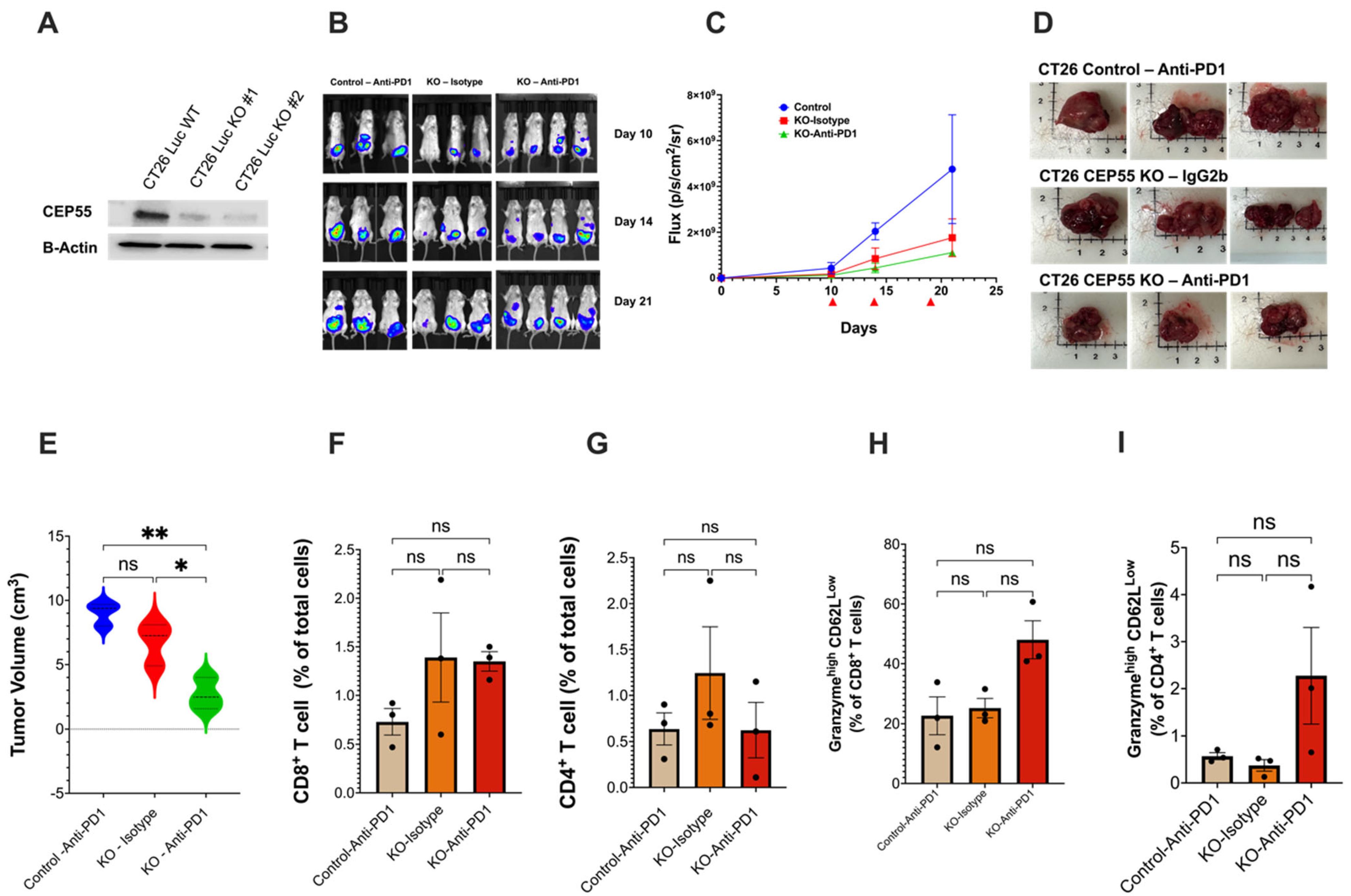 Vaccines 12 00063 g005