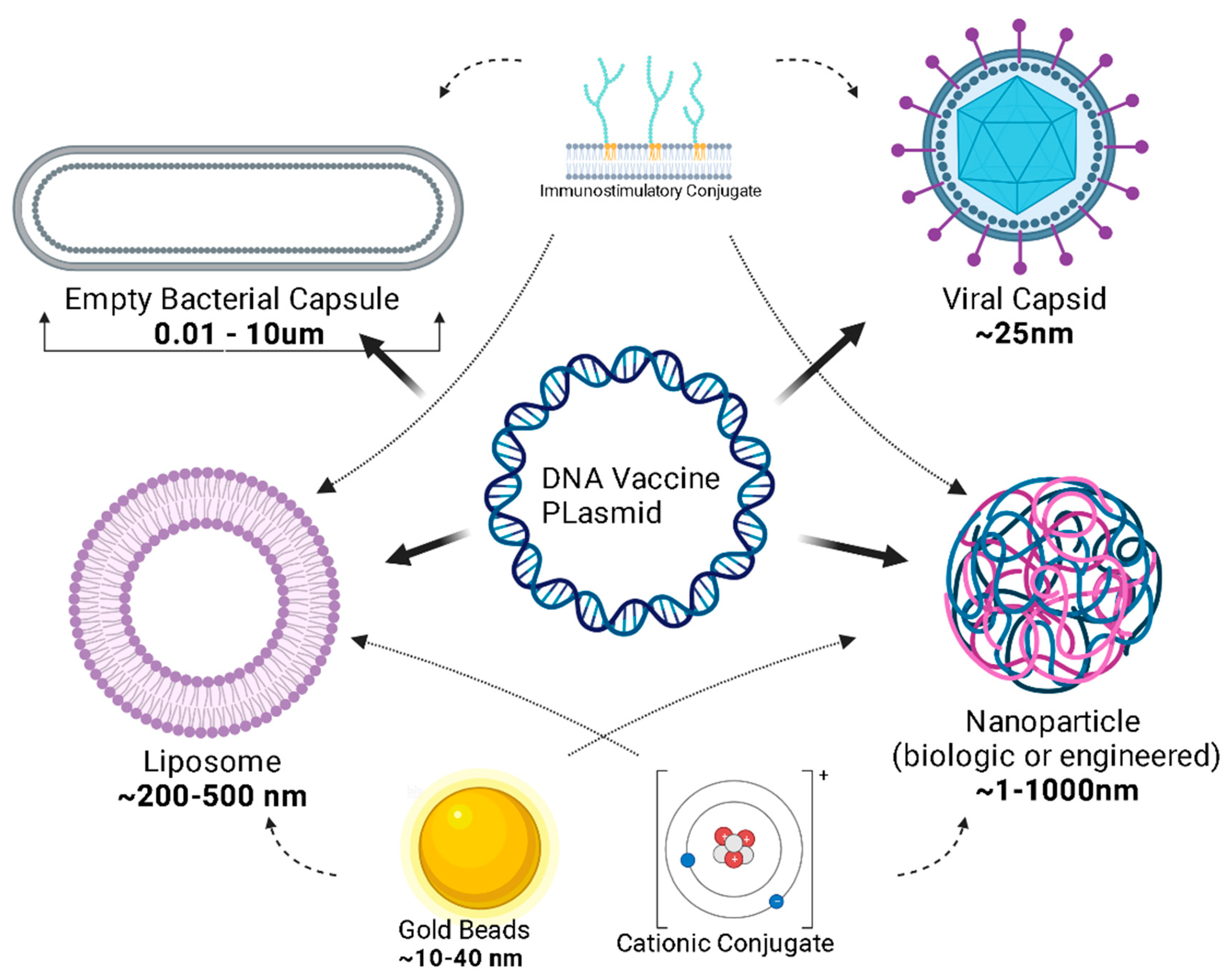 Vaccines 12 00071 g004