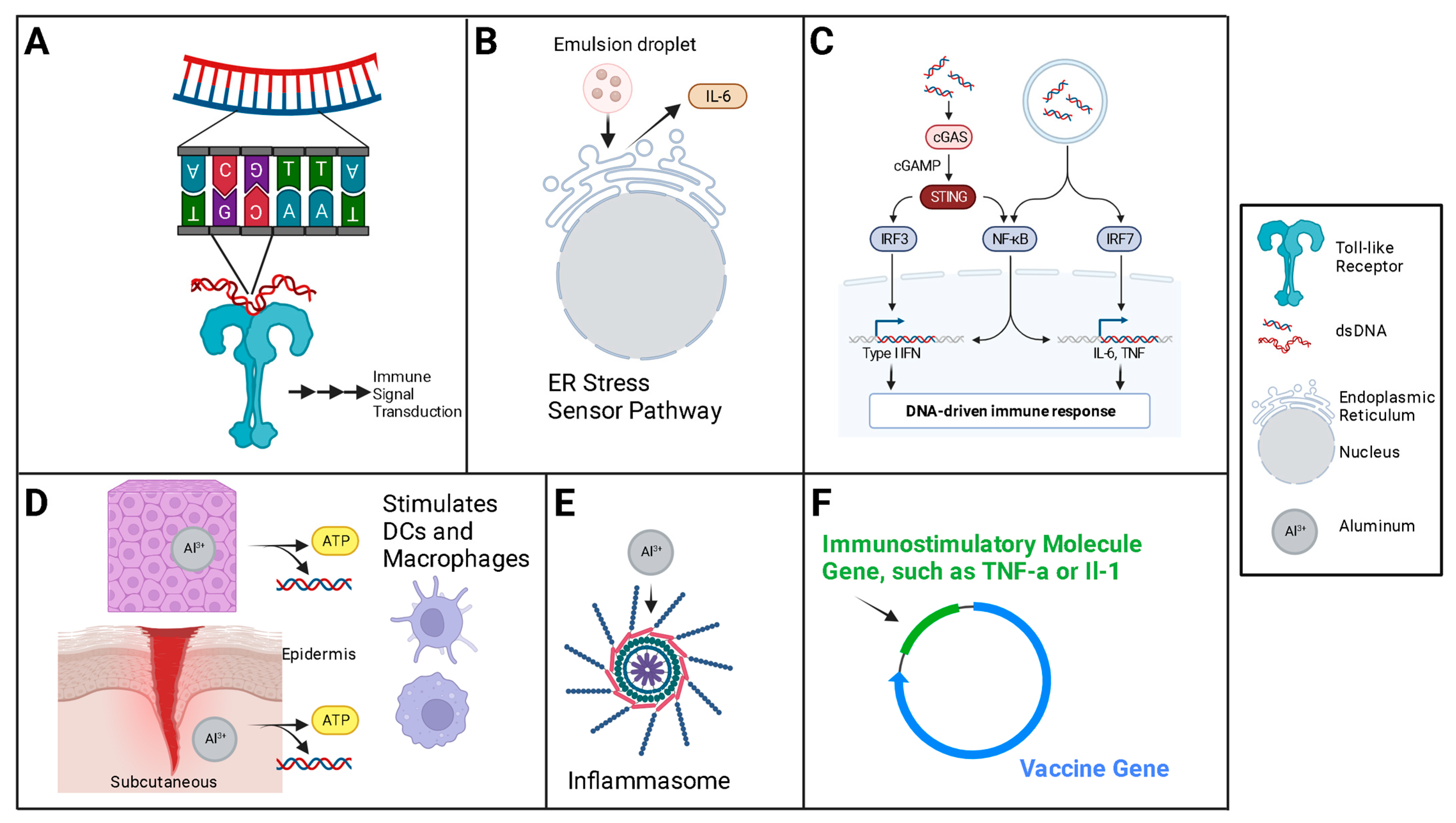 Vaccines 12 00071 g005