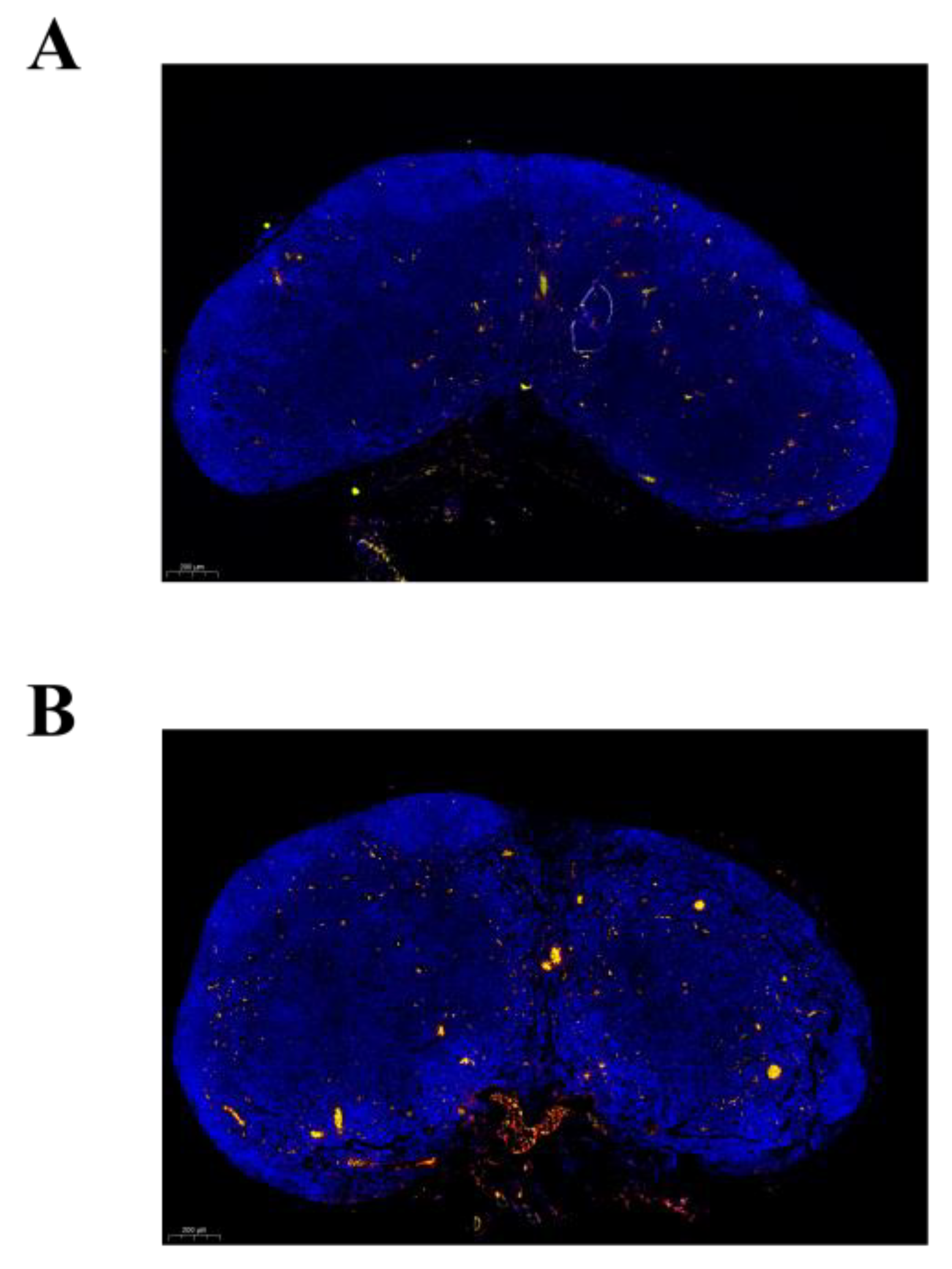 Vaccines 12 00086 g005