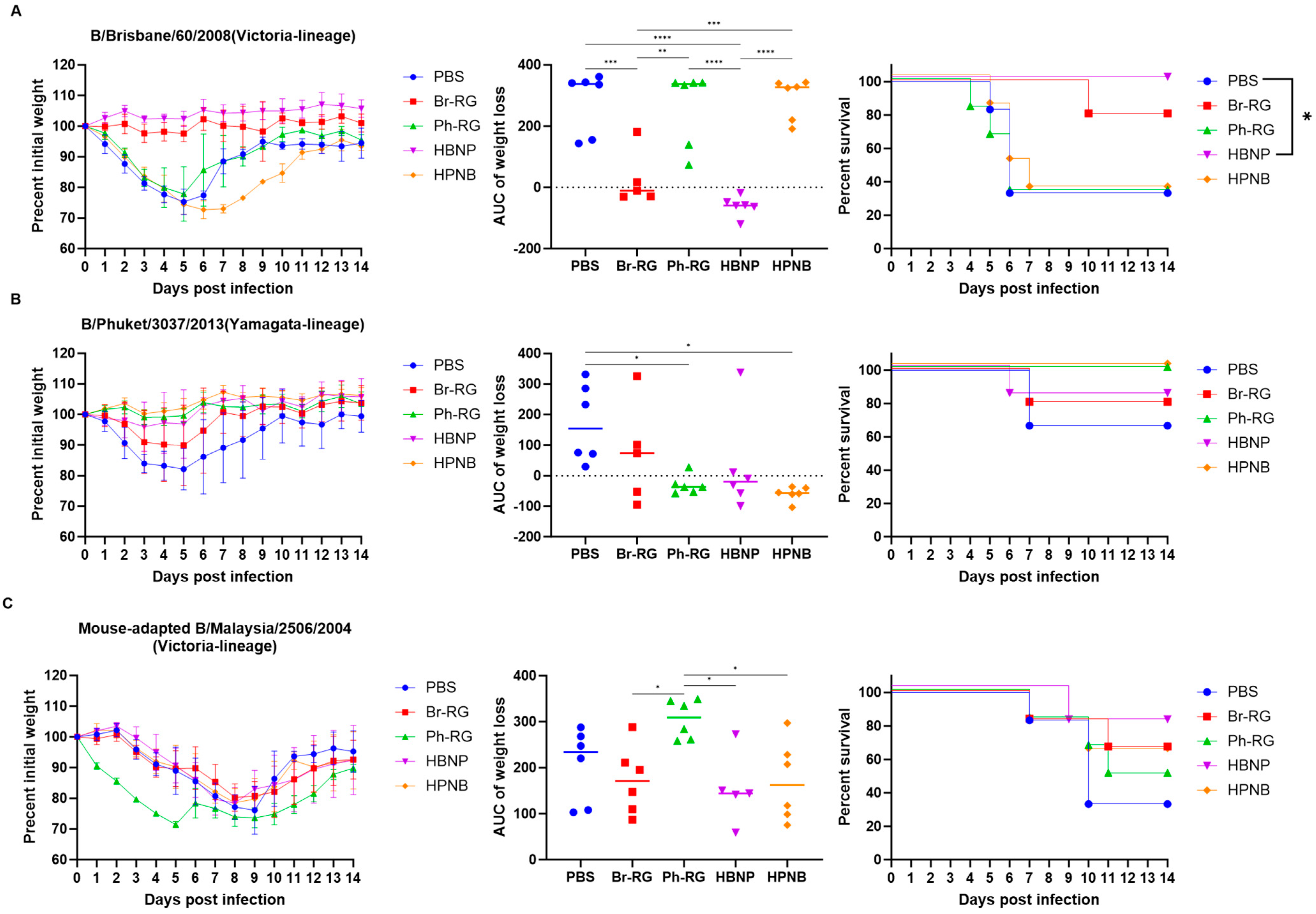 Vaccines 12 00095 g011