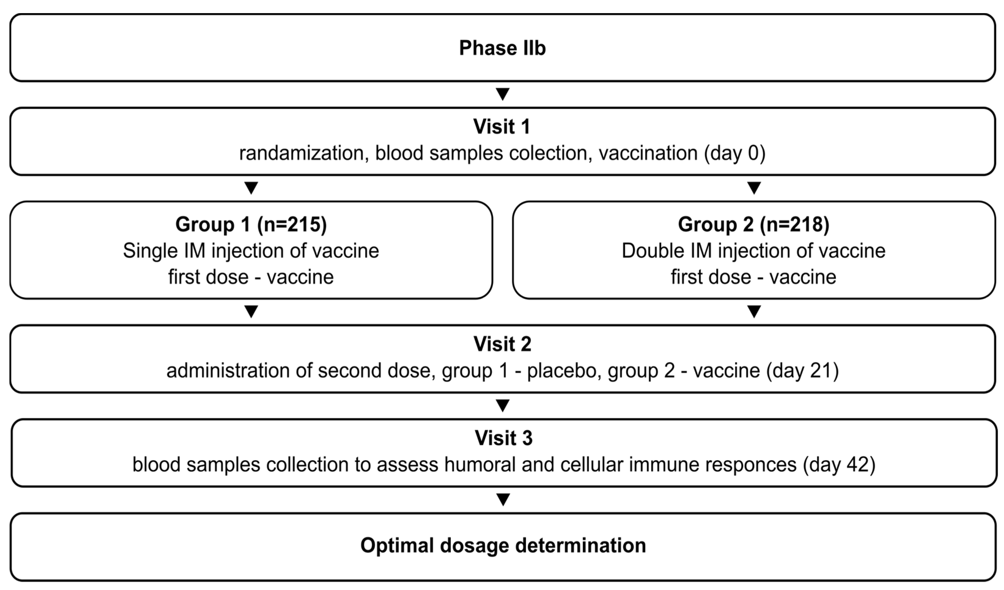 Vaccines 12 00100 g002