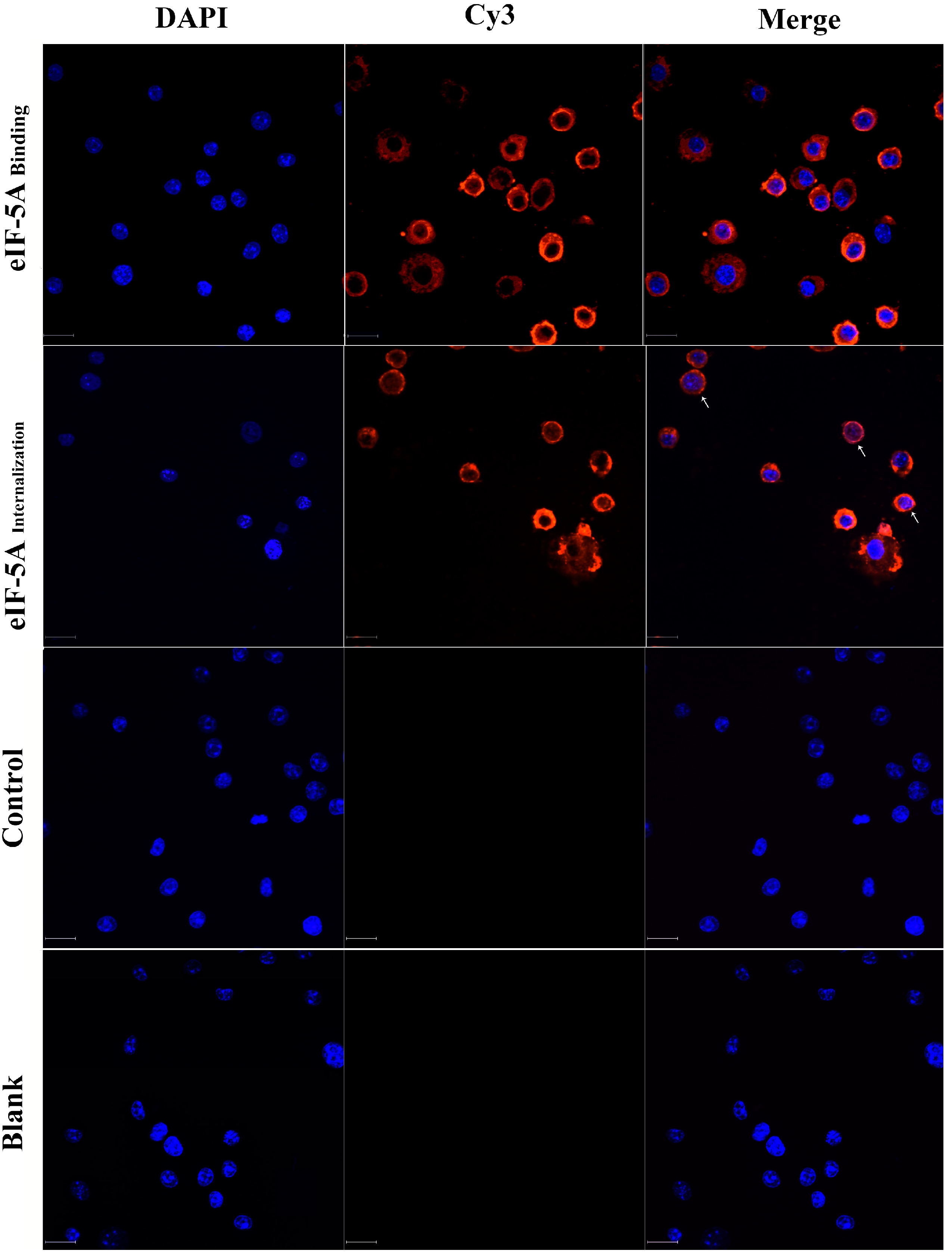 Vaccines 12 00101 g001