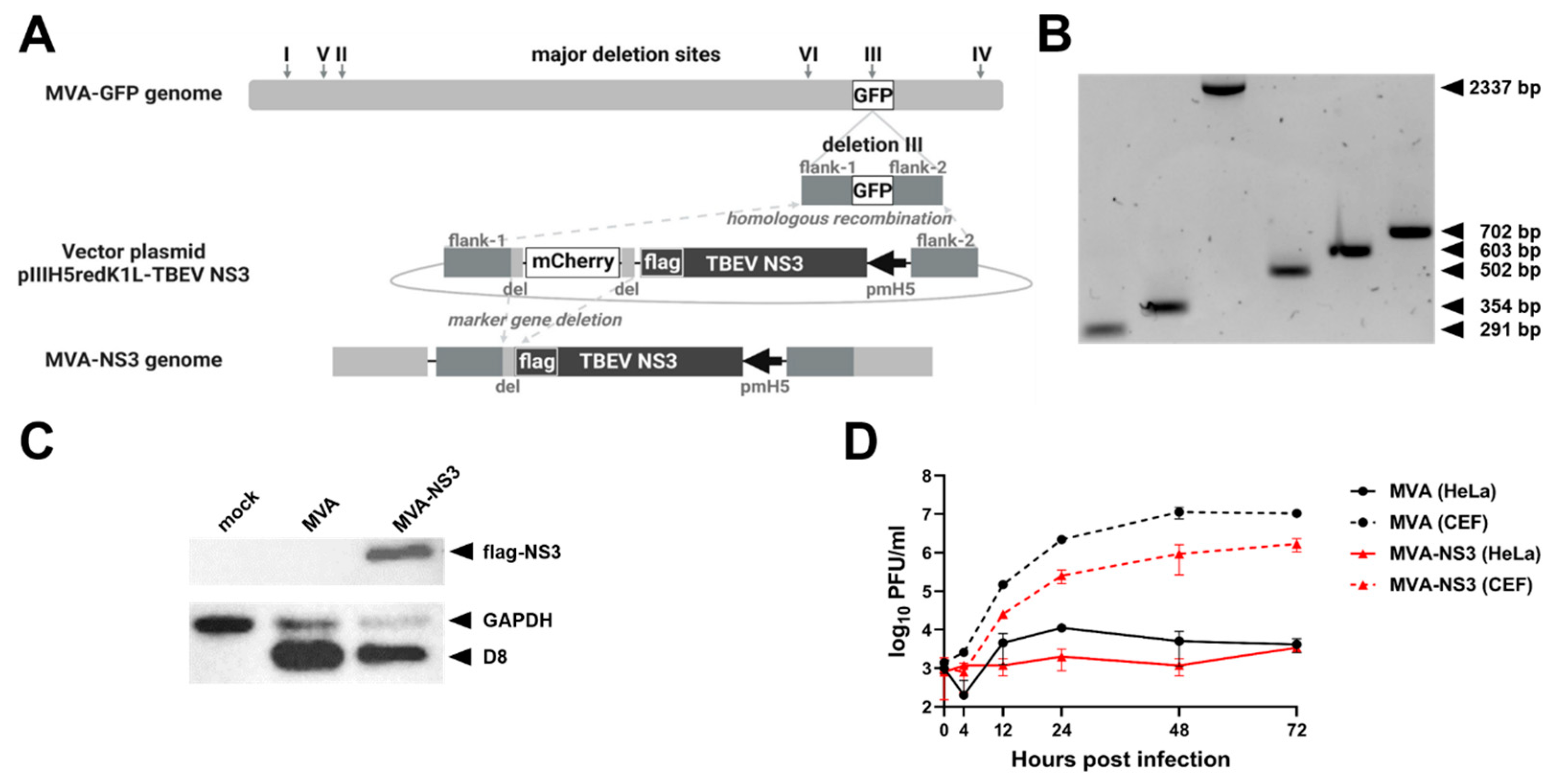 Vaccines 12 00105 g001 Vaccines 12 00105 g001