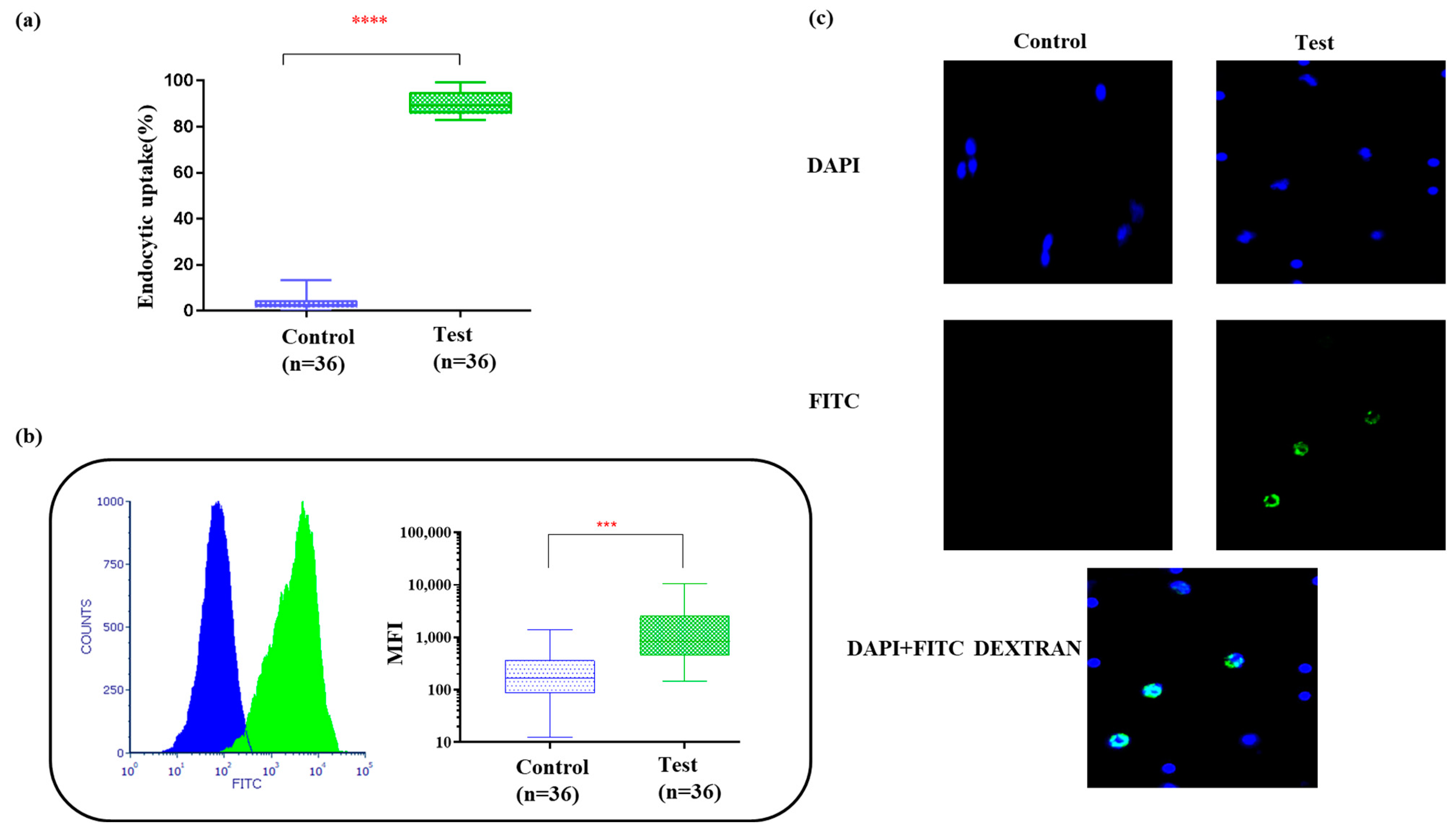 Vaccines 12 00112 g002