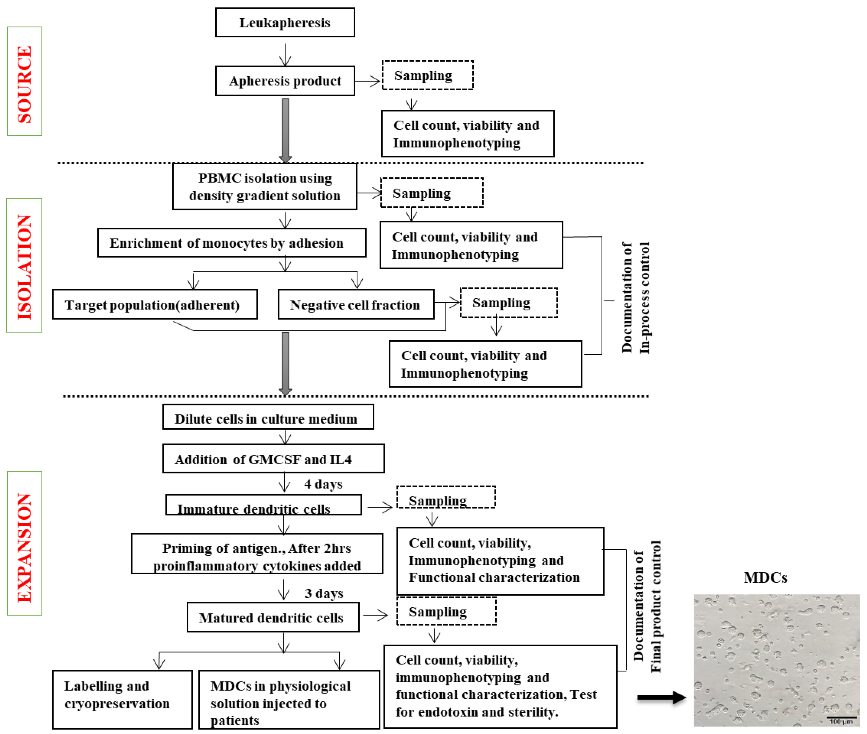 Vaccines 12 00112 g009