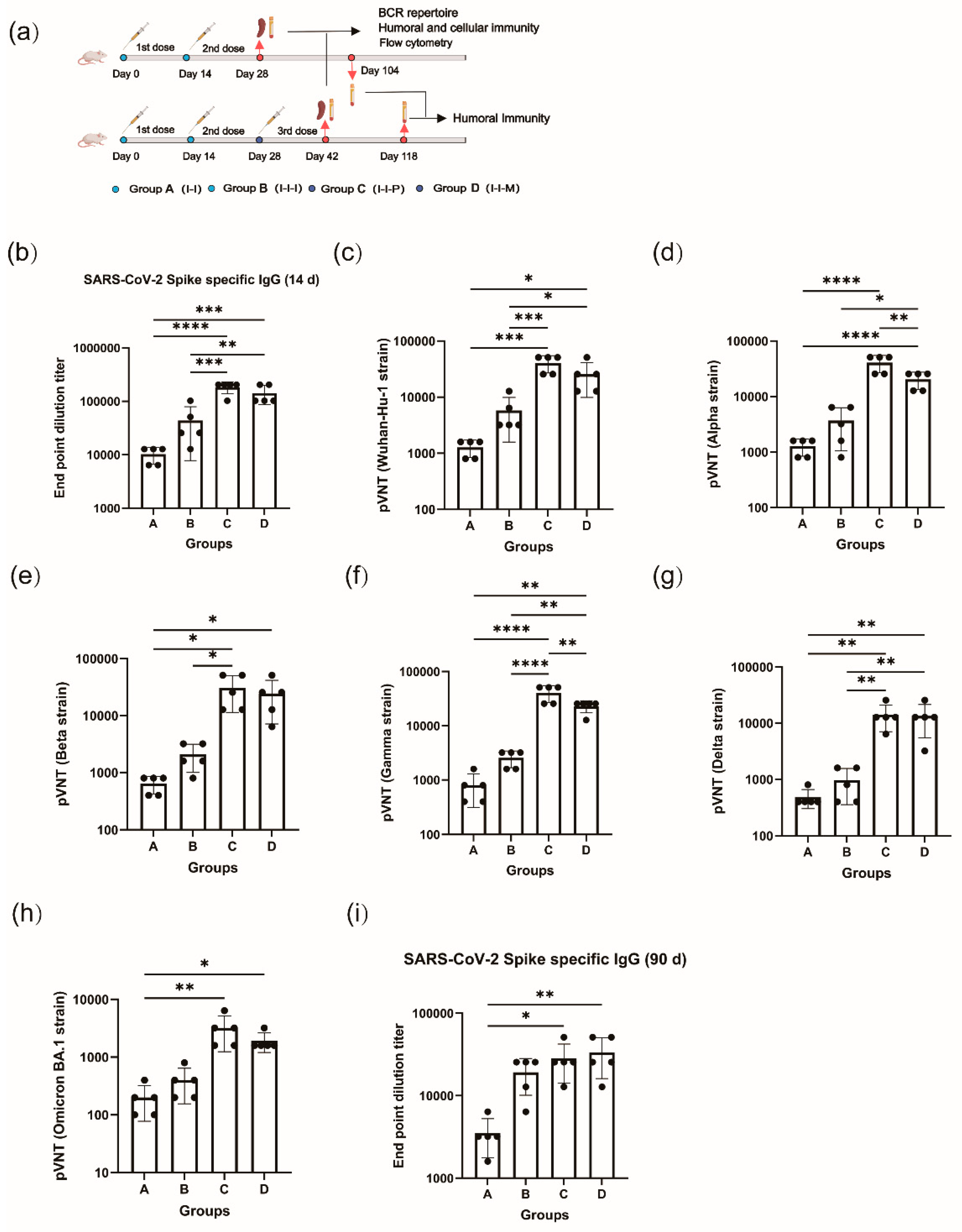 Vaccines 12 00120 g001