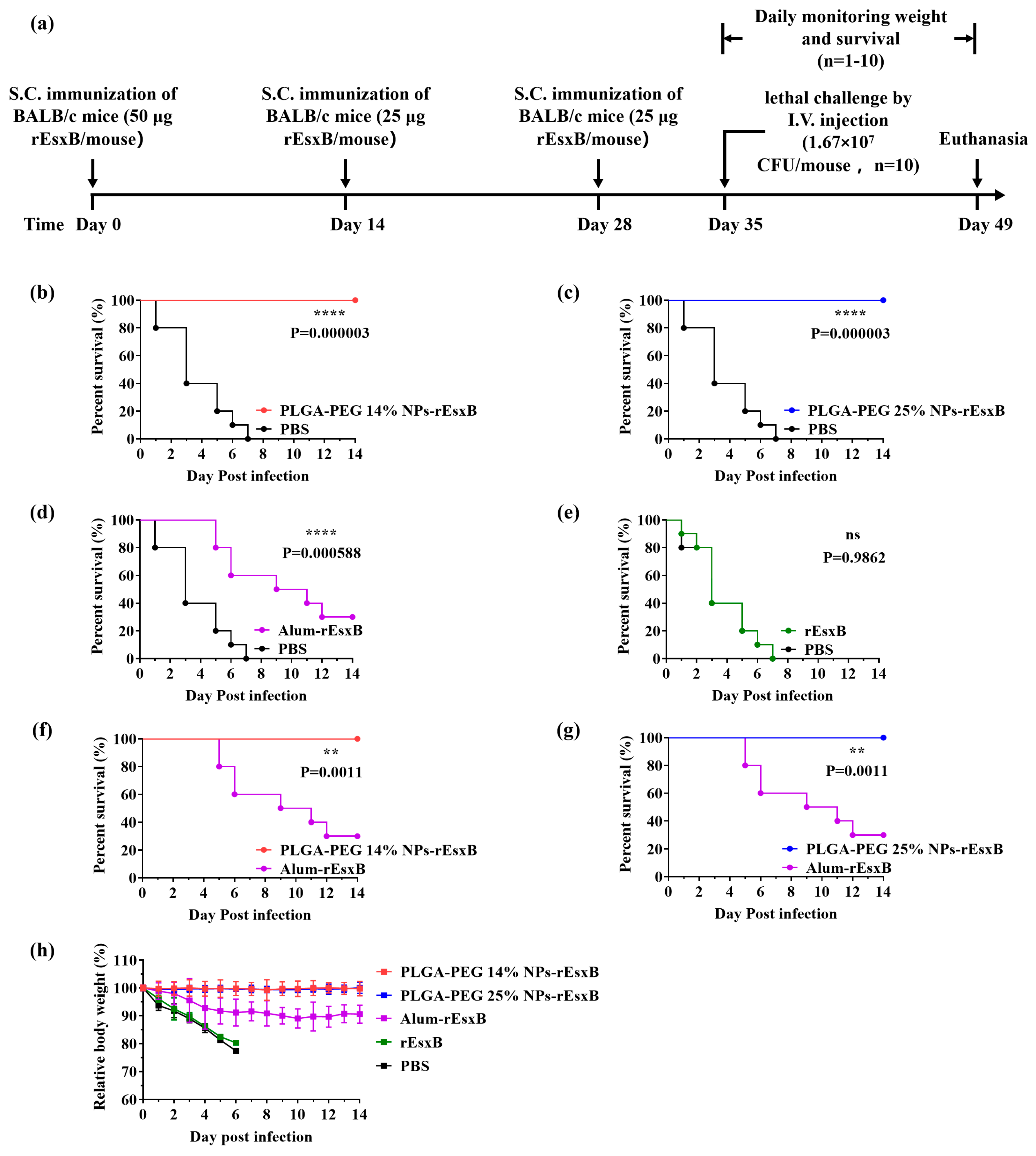 Vaccines 12 00125 g004